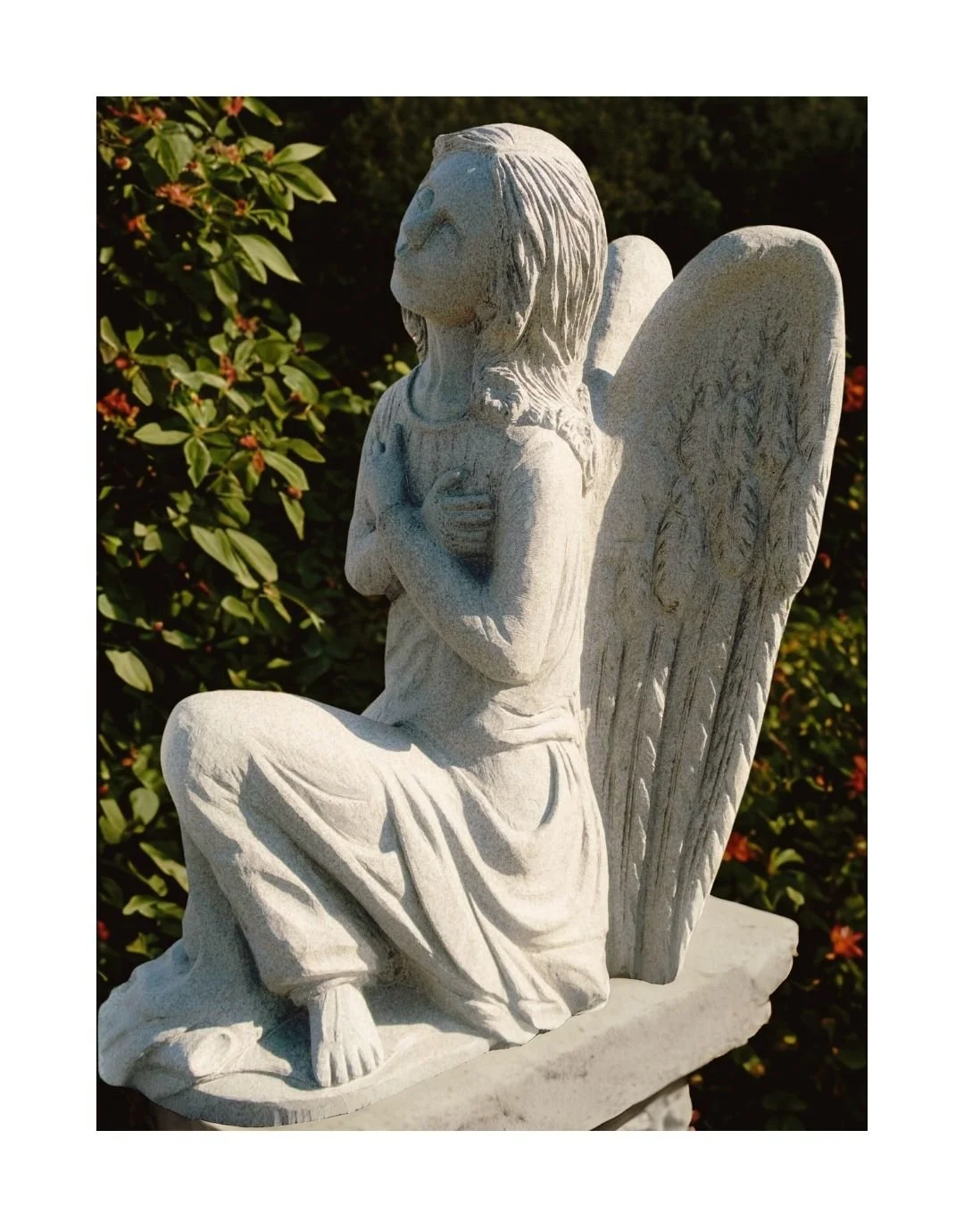 Silent Guardian : Angel of tenderness and protection