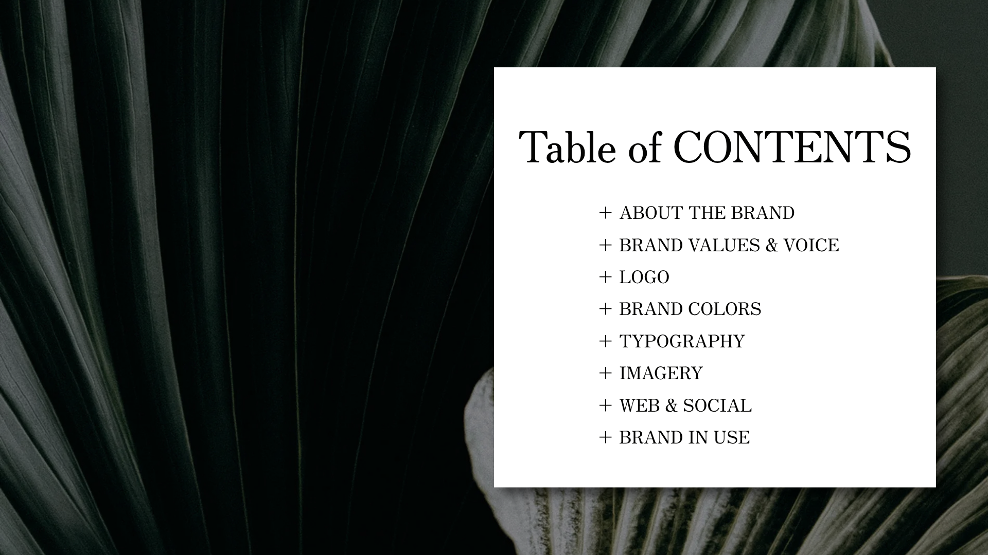 Table of Contents.png