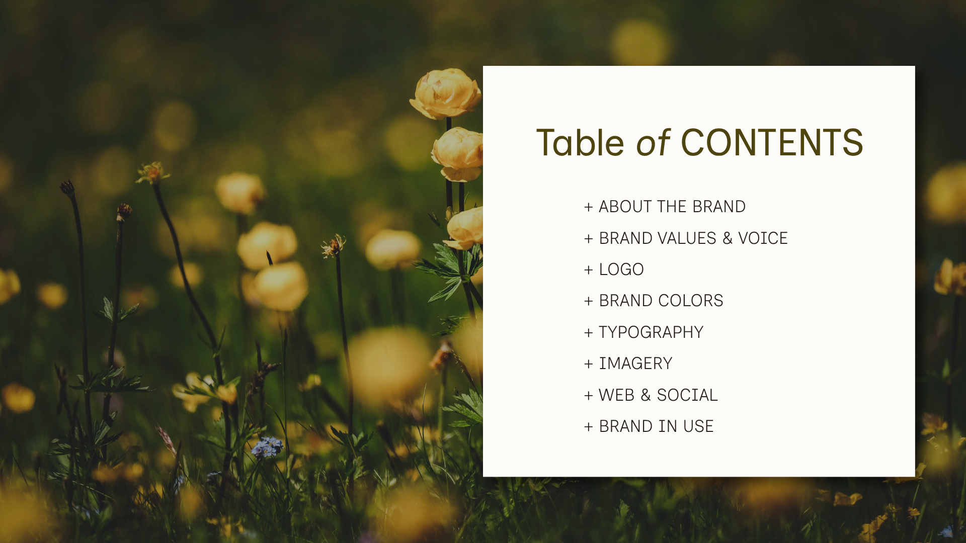 Table of Contents.png