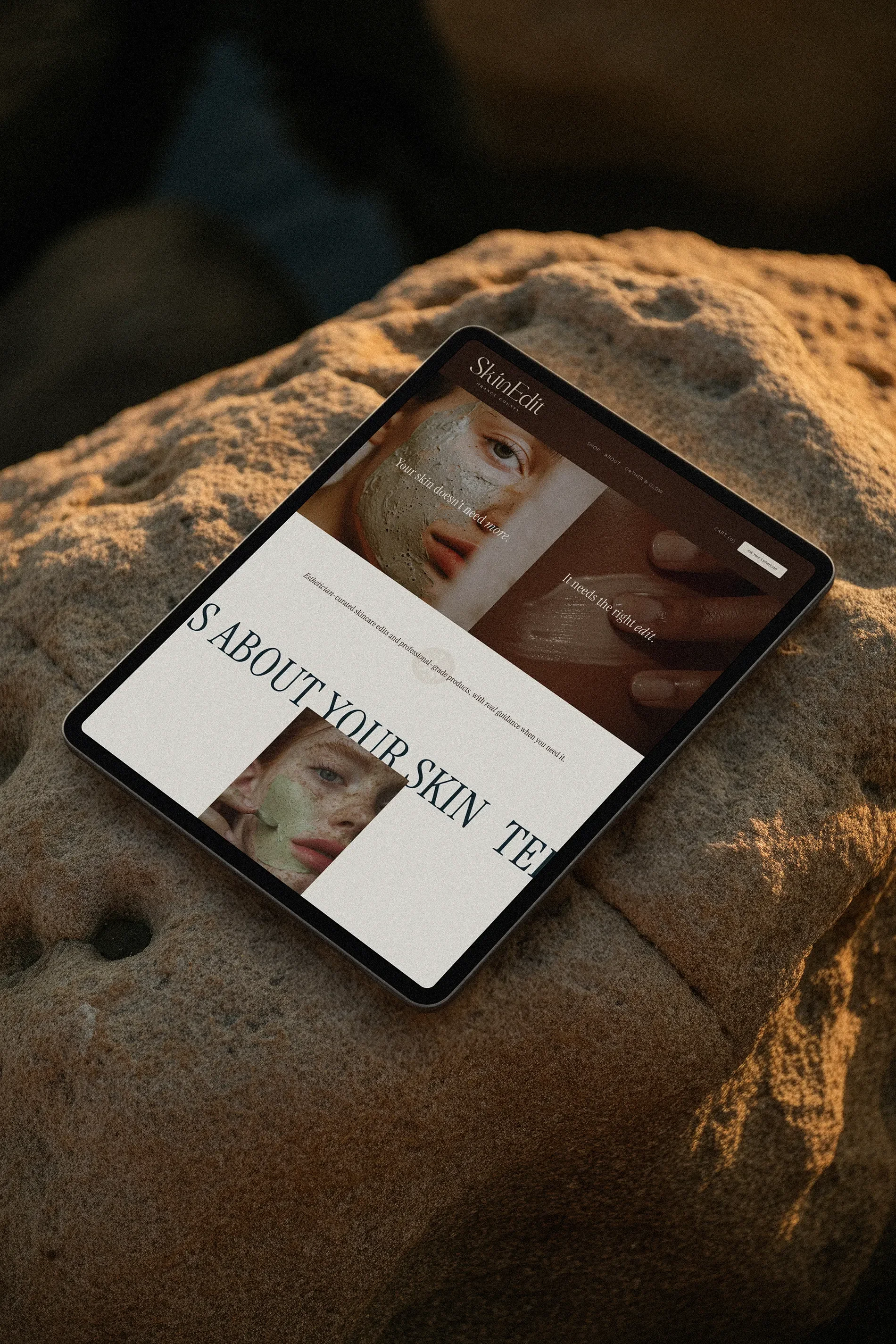 CoveiPad2.webp