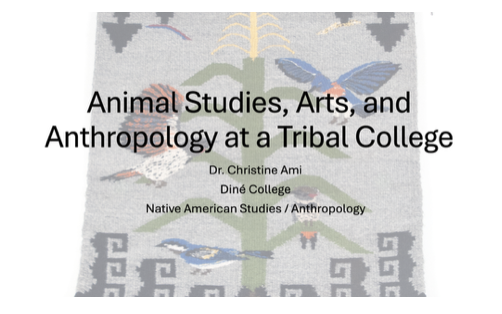 SACC Fest 2025- Community College Anthropologists are My People