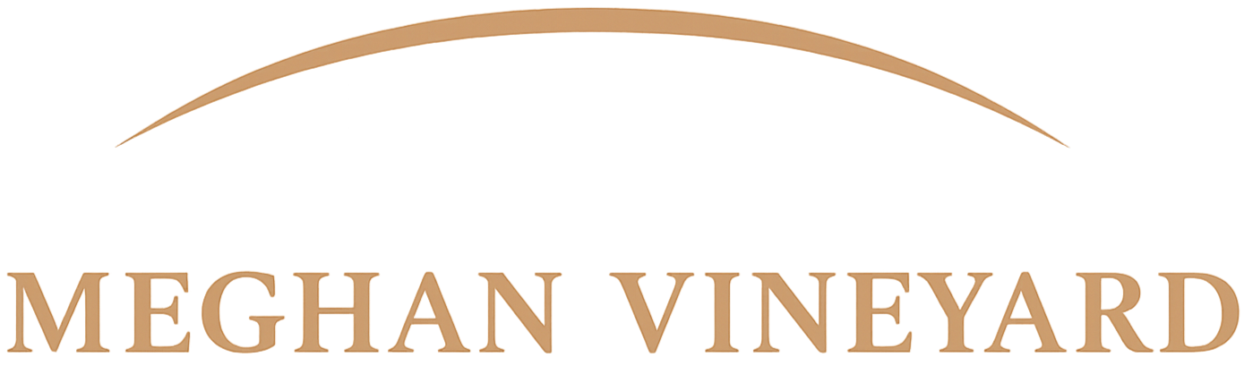 Meghan Vineyard