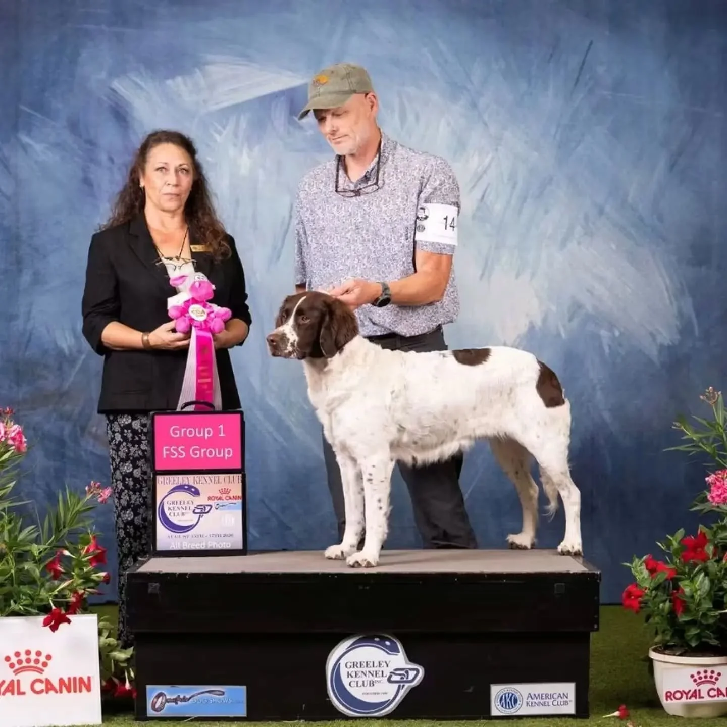 Greeley, CO Open Show Drent Recap!

This week the whole crew traveled down to Greeley, CO to attend the large Open Show cluster of 6 SHOWS at the Greeley KC event as well as the first ever in-person meeting for the American Drentsche Patrijshond Asso