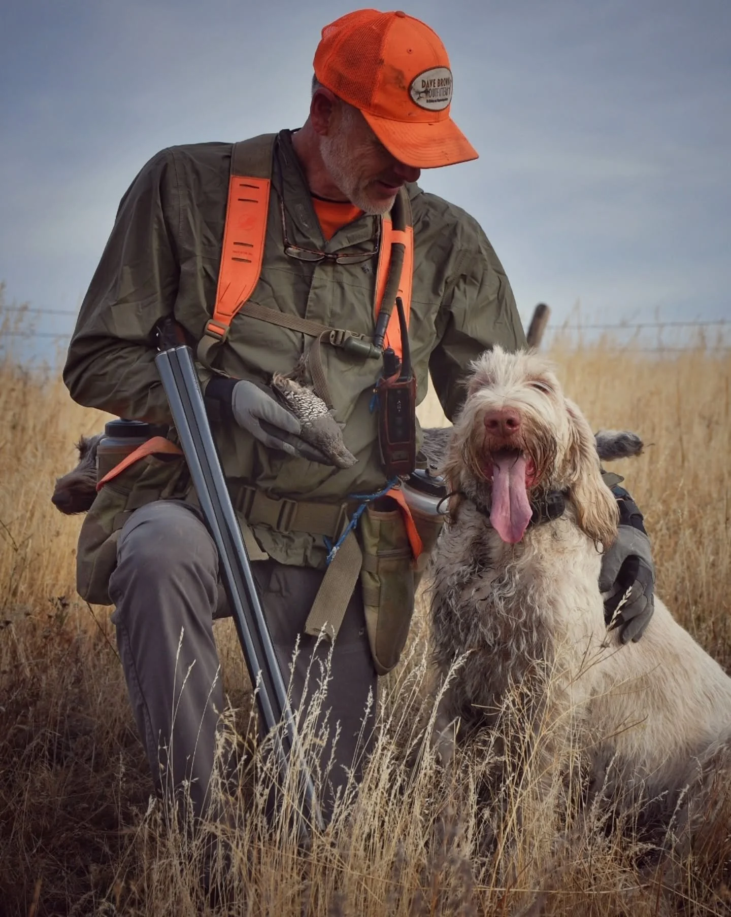 We thought we had lost this hen, but then Fizzy found her
.
.
.
.
#TwoGunKennels #poweredbyinukshuk #italianfirearmsgroup #28gauge #spinoneitaliano