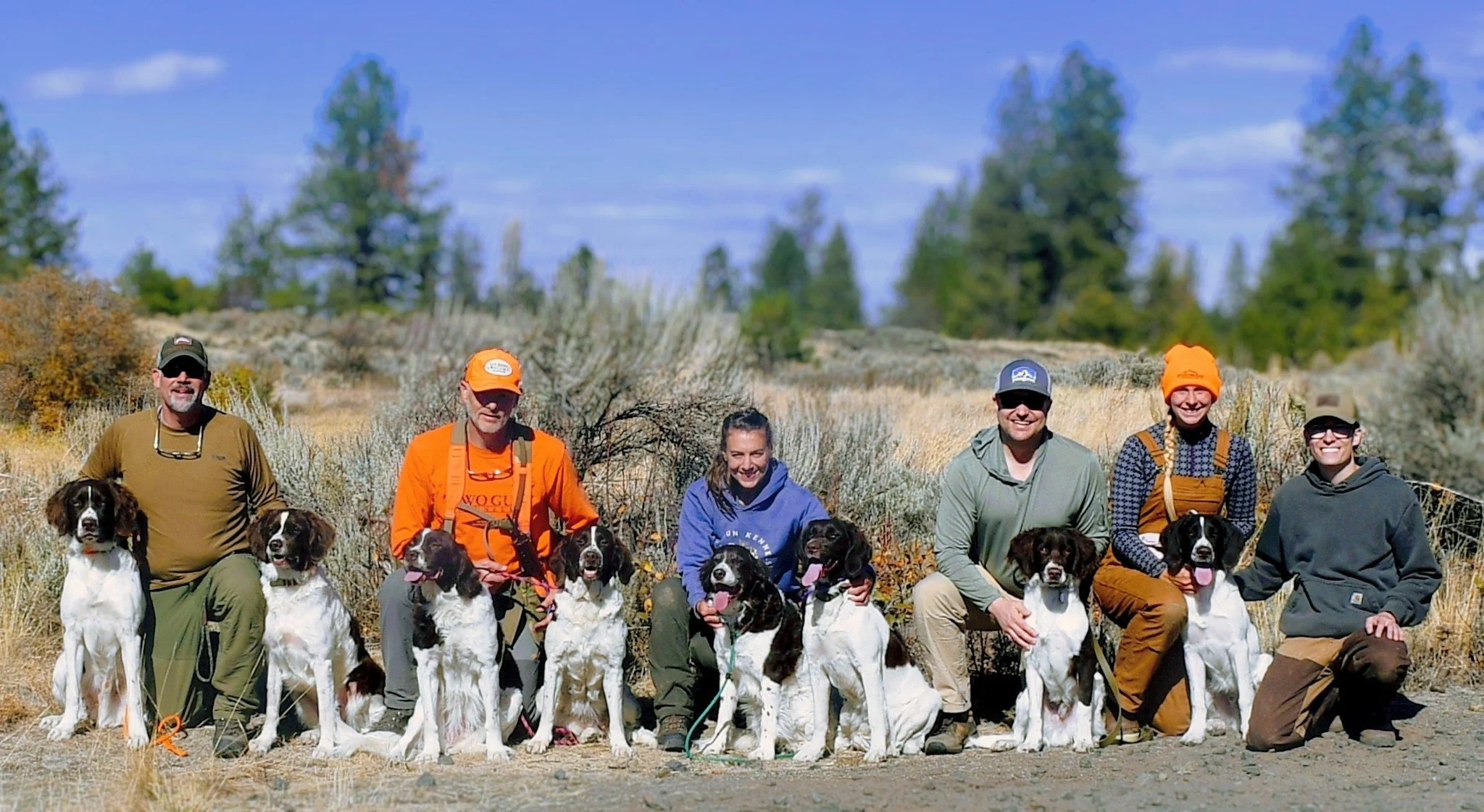 This summer we had the opportunity to celebrate our 20th year of being involved with breeding Drentsche Patrijshonden! We hunt, show, train, and play in a range of AKC sports and love to mentor clients when the occasion is presented. We have embraced