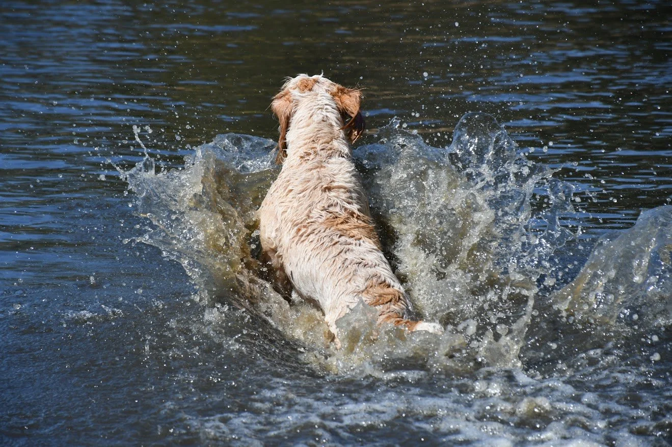 DSC_1835.JPG