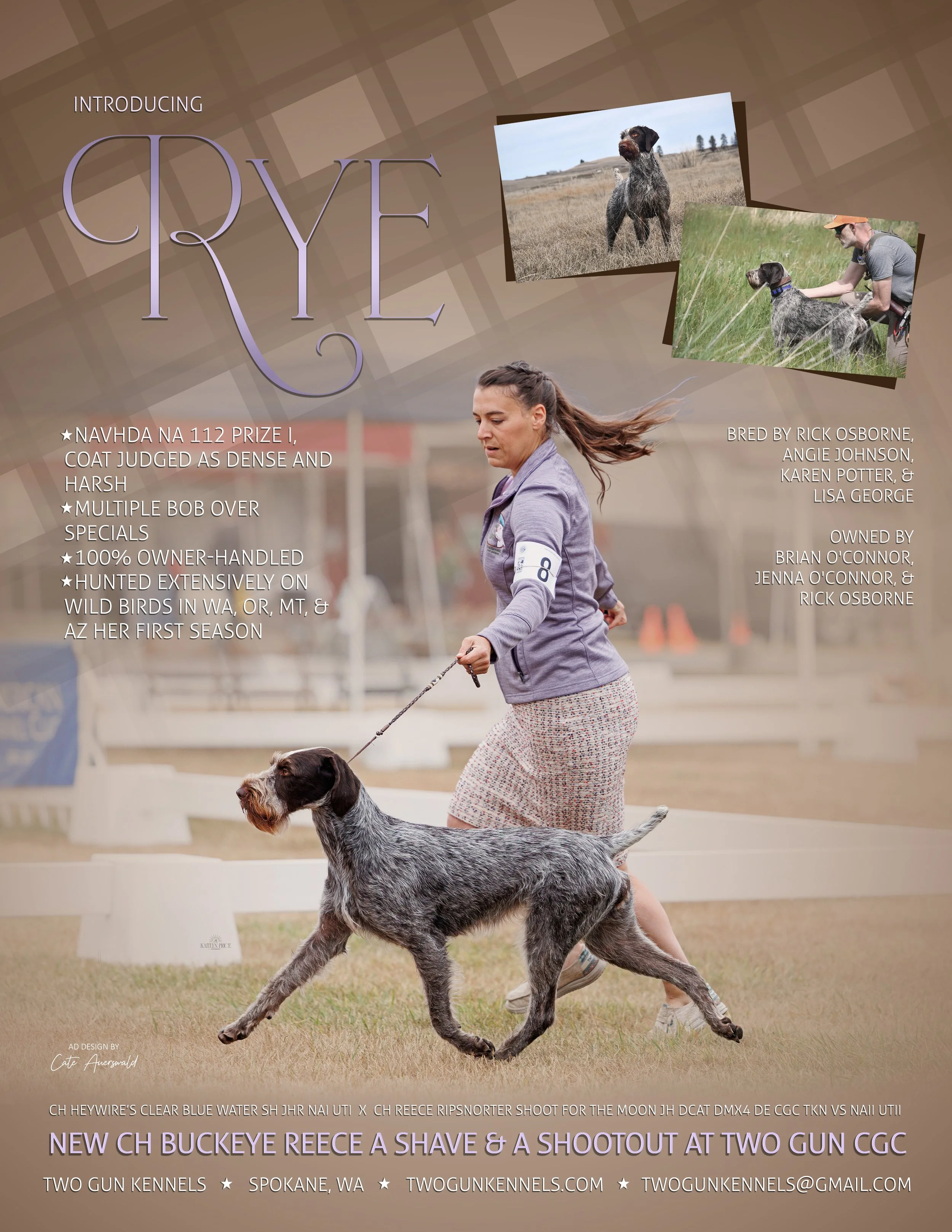 Jenna O'Connor Rye WN Ad August 24 SOCIAL MEDIA COPY.jpg