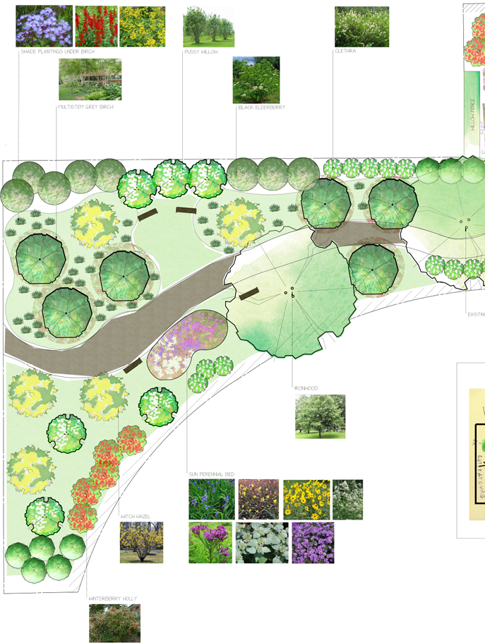 Native Plant Garden Design