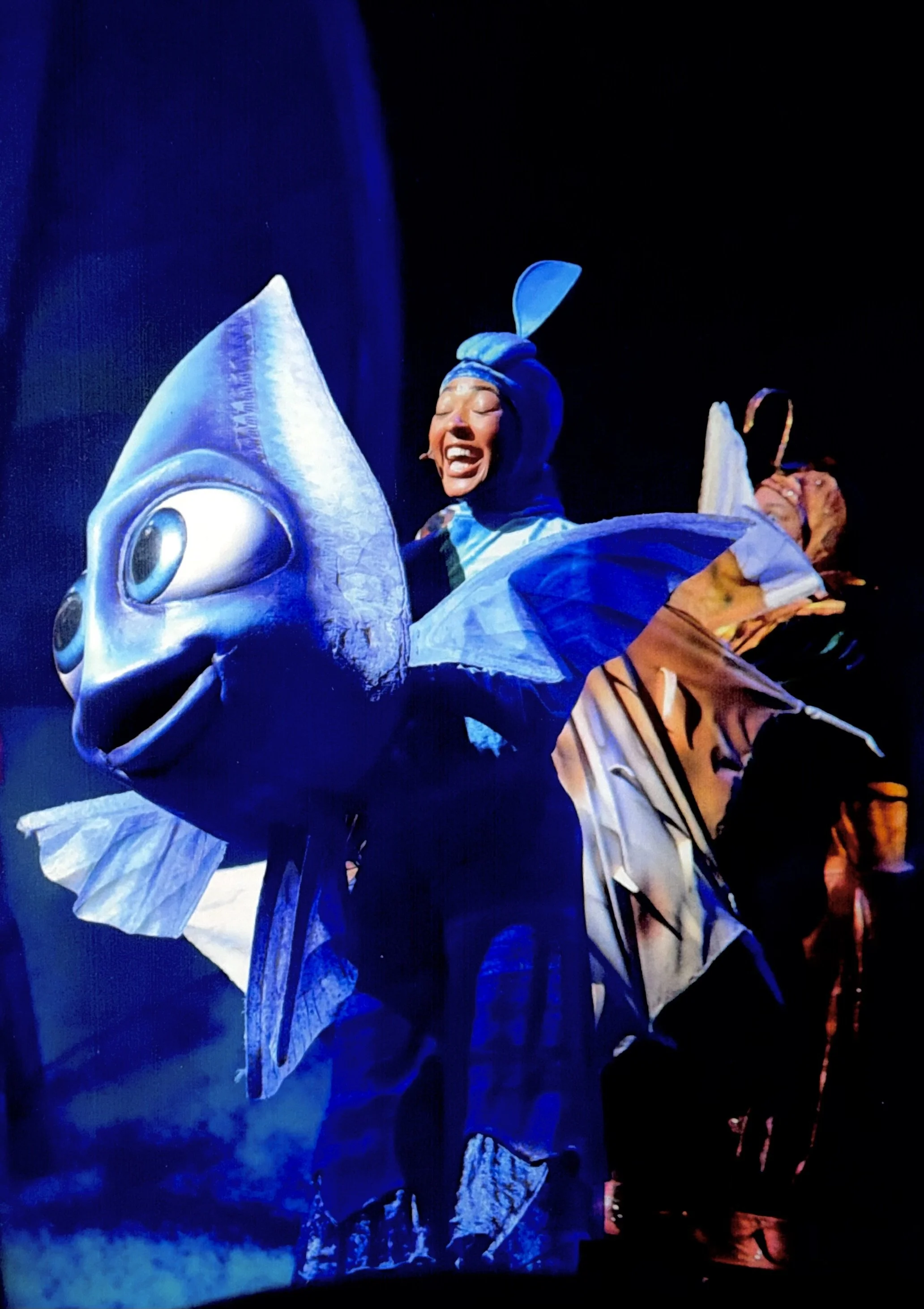 Finding Nemo: The Big Blue and Beyond- Deb