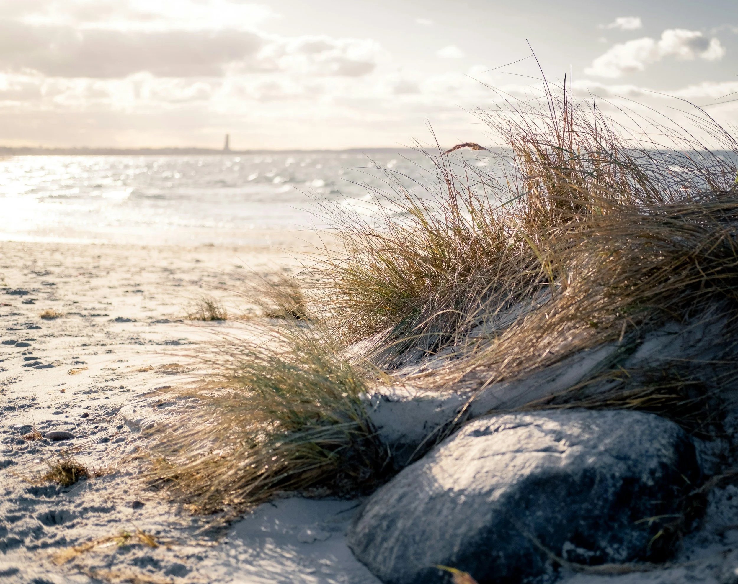 Beach with sand dunes, tall grass, and ocean in the background under a cloudy sky.
