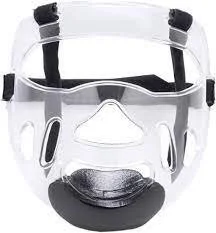 face+protector.jpg
