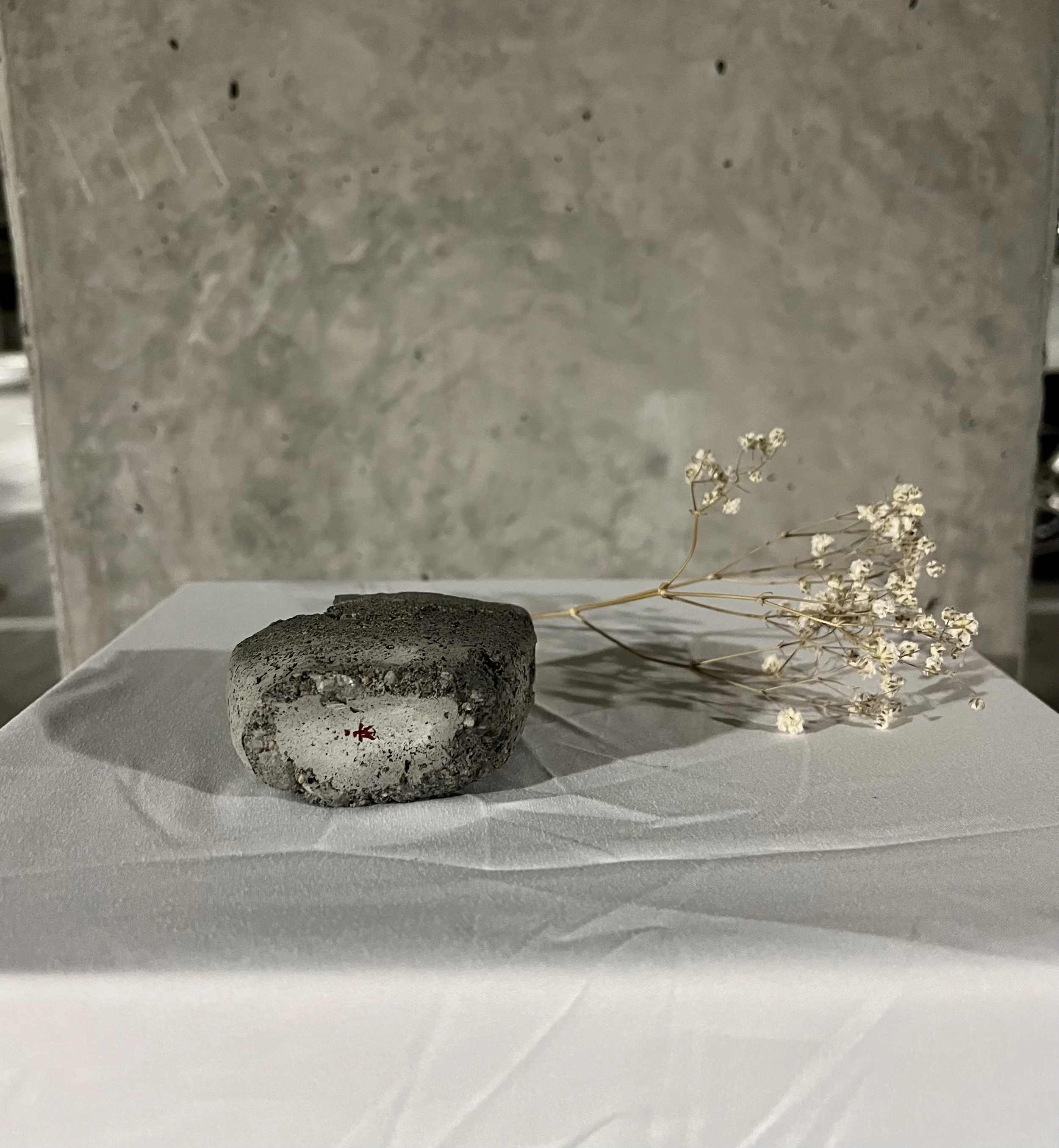 IMG_5745.jpg