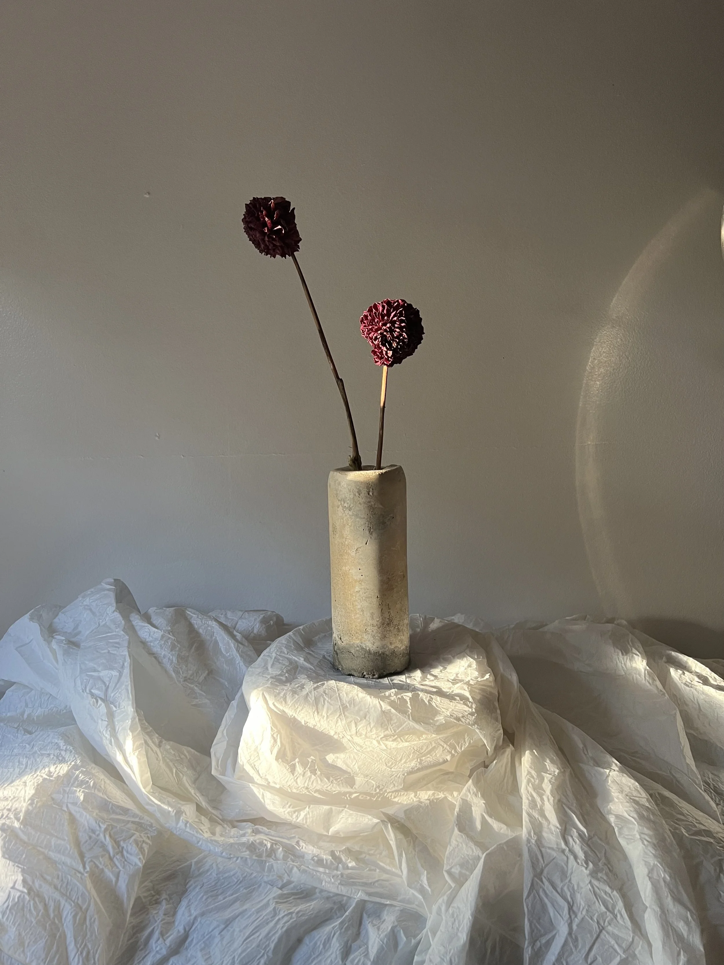 A beige cylindrical object, resembling a candle or vase, with two dried flower stems with dark red and pink rounded blooms inside. The object is placed on wrinkled white paper on a flat surface against a plain wall.