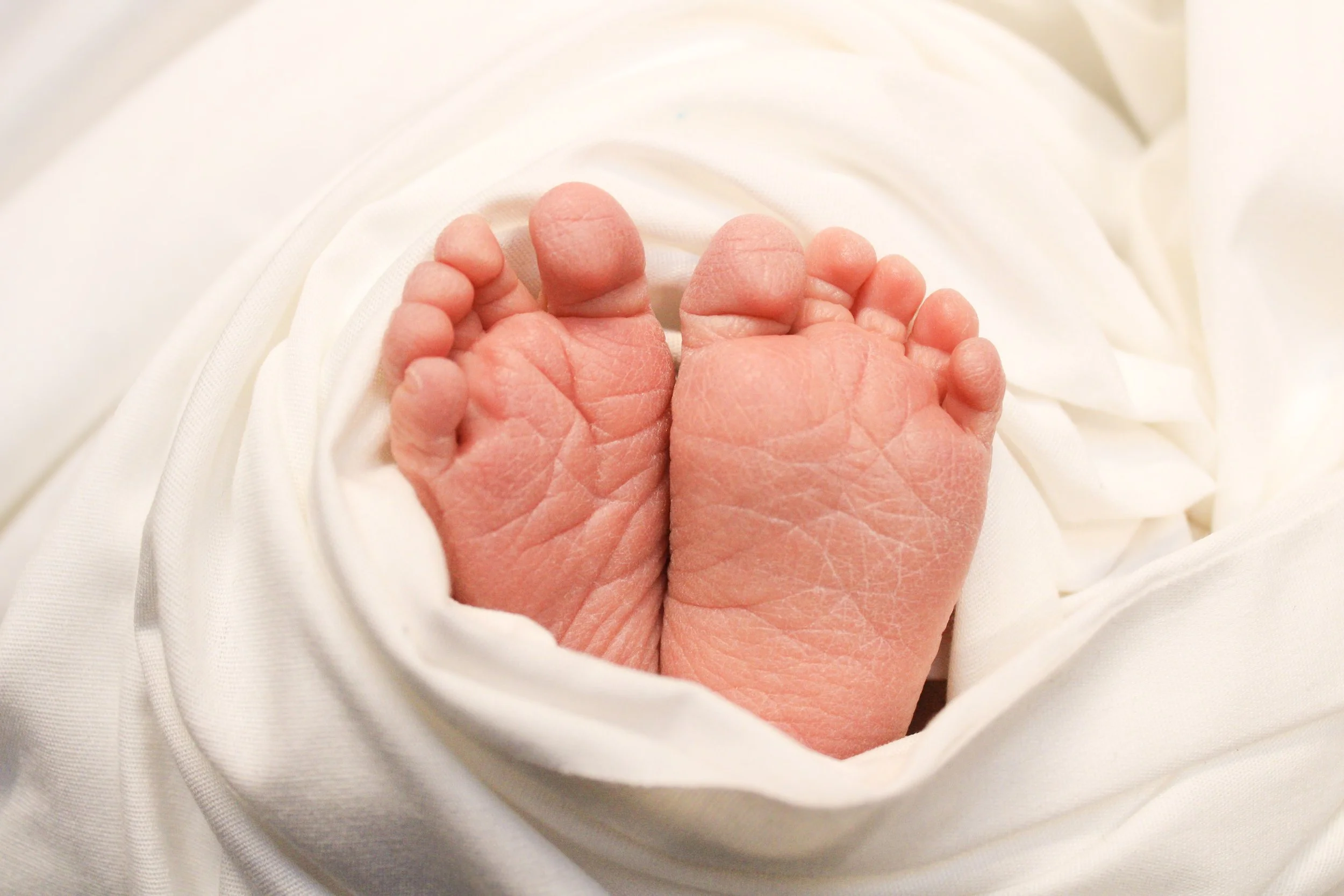 Close-up of a newborn baby's feet wrapped in white fabric.
