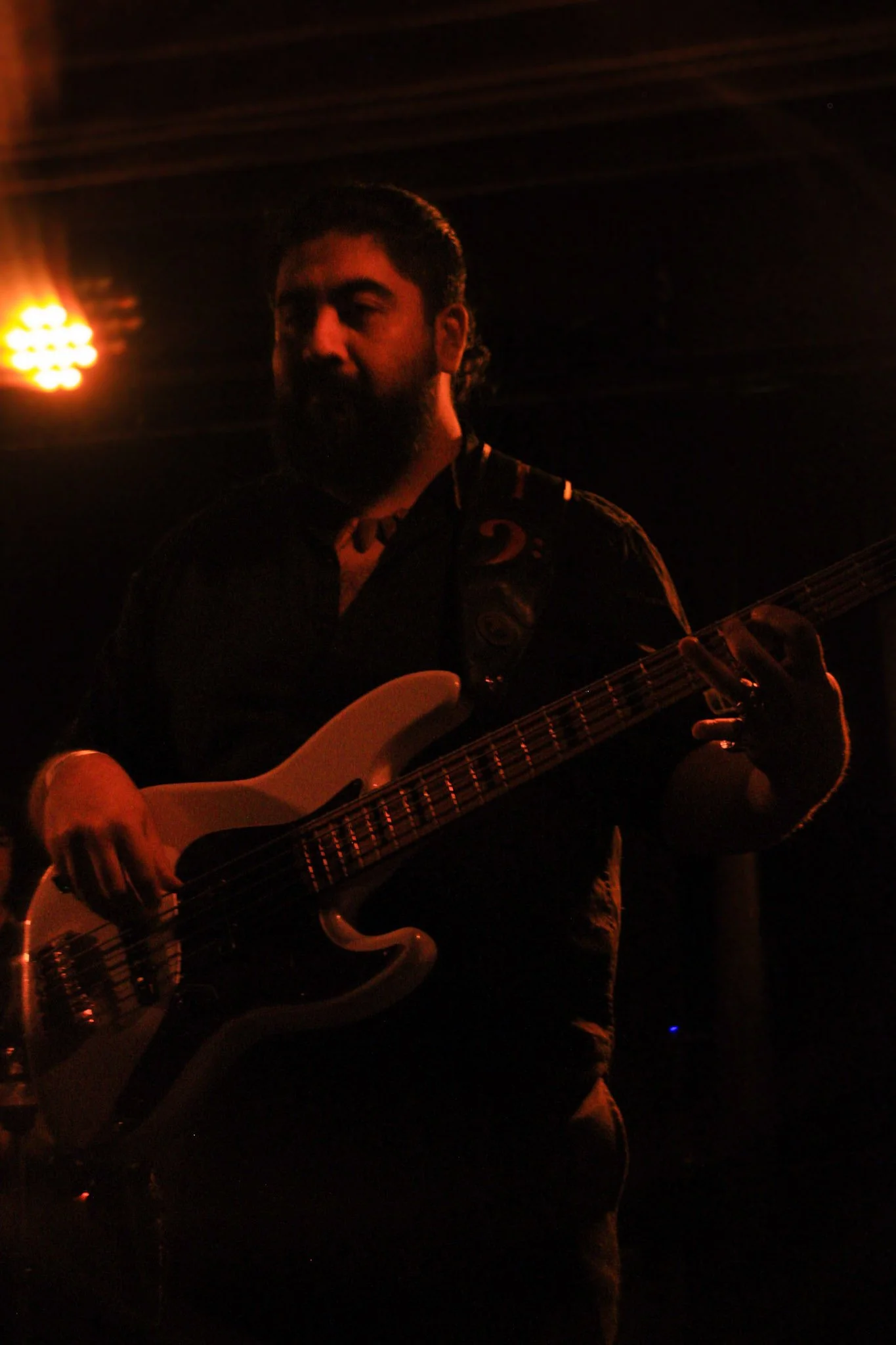 Pedro- Image 1