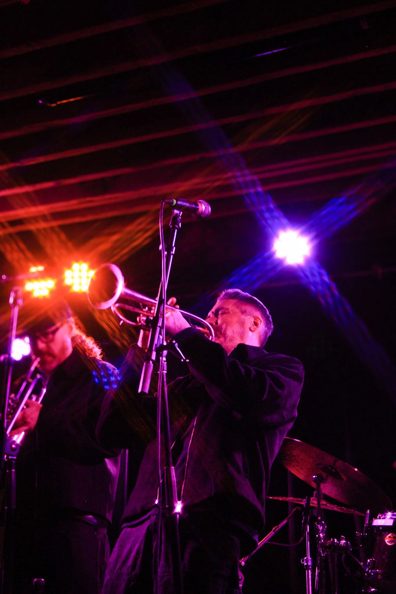 The Low Down Brass Band- Image 1