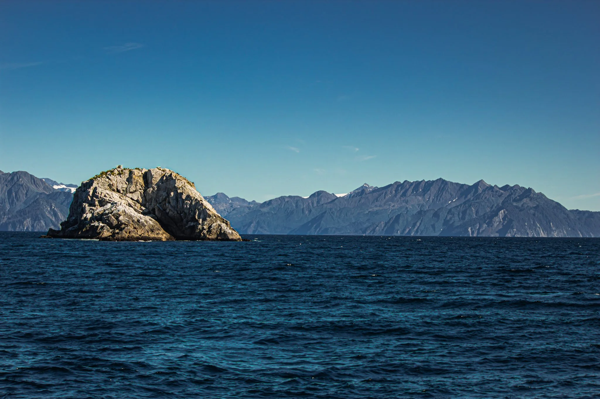 IMG_9625.jpg