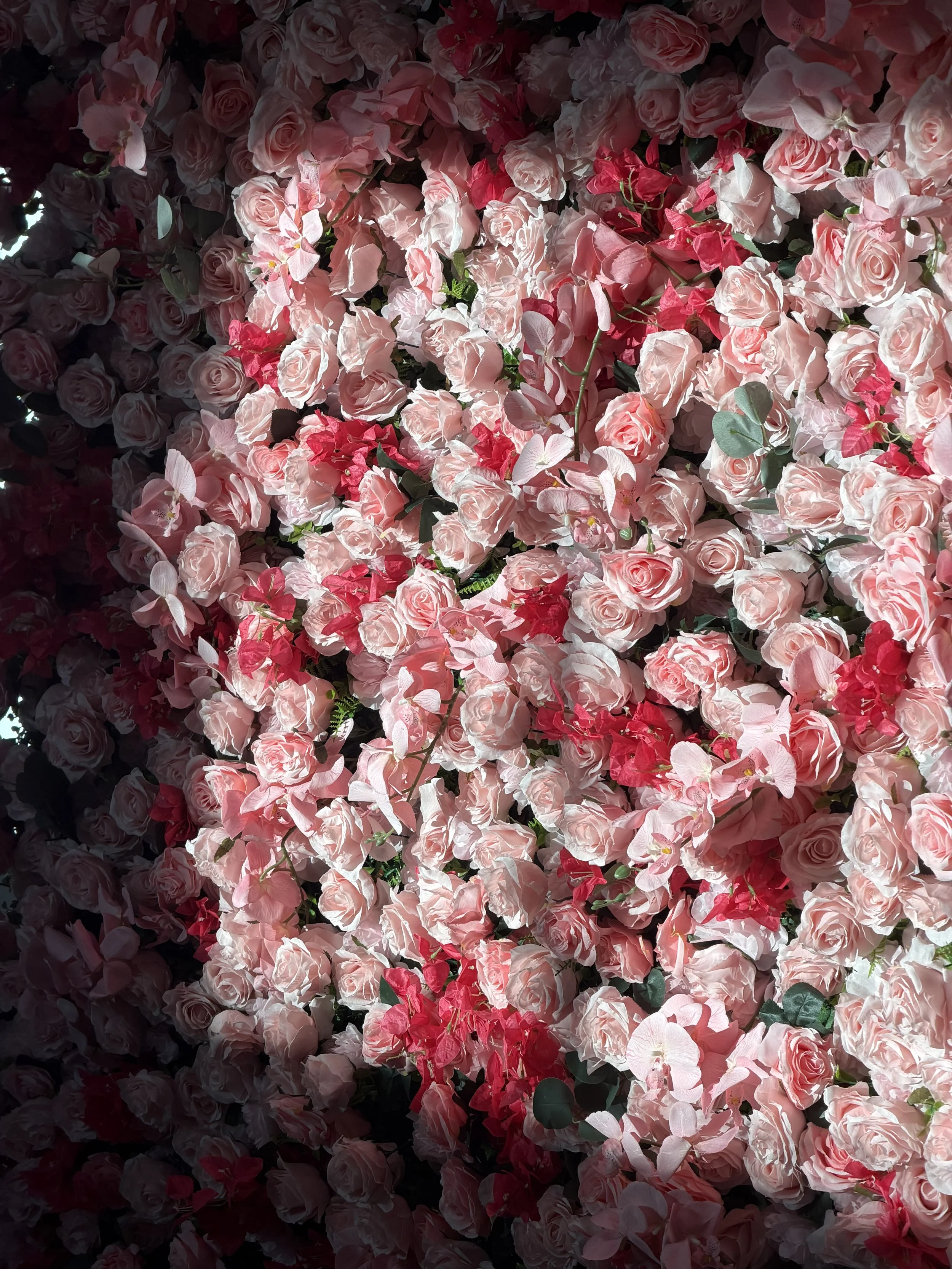 A dense wall of pink roses and pink bougainvillea flowers, with some green leaves visible.