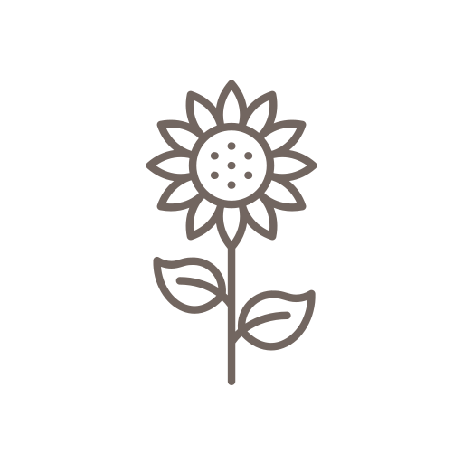 Simple black and white line drawing of a sunflower with a central disk and pointed petals, along with a stem and two leaves.