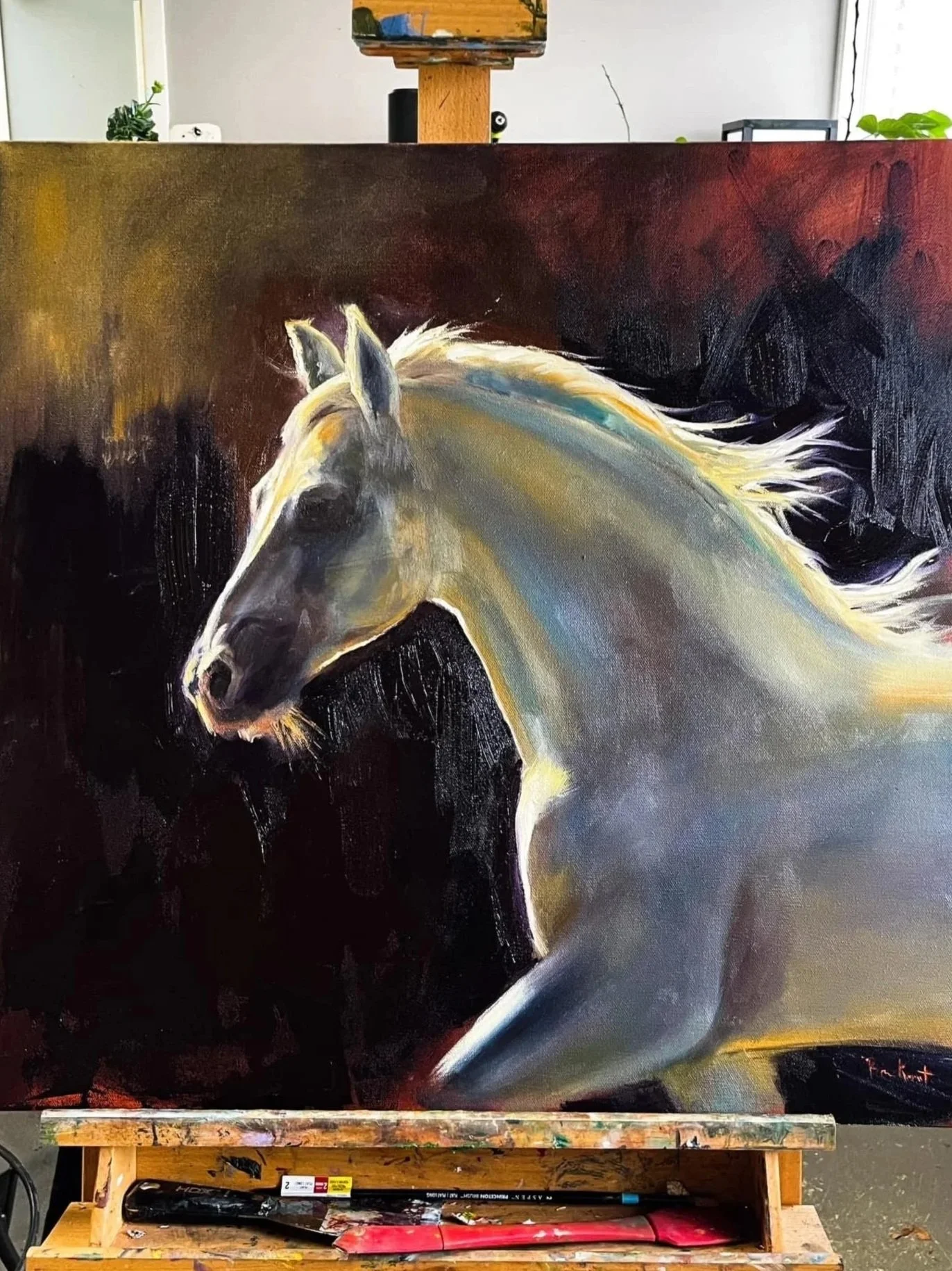 Equine