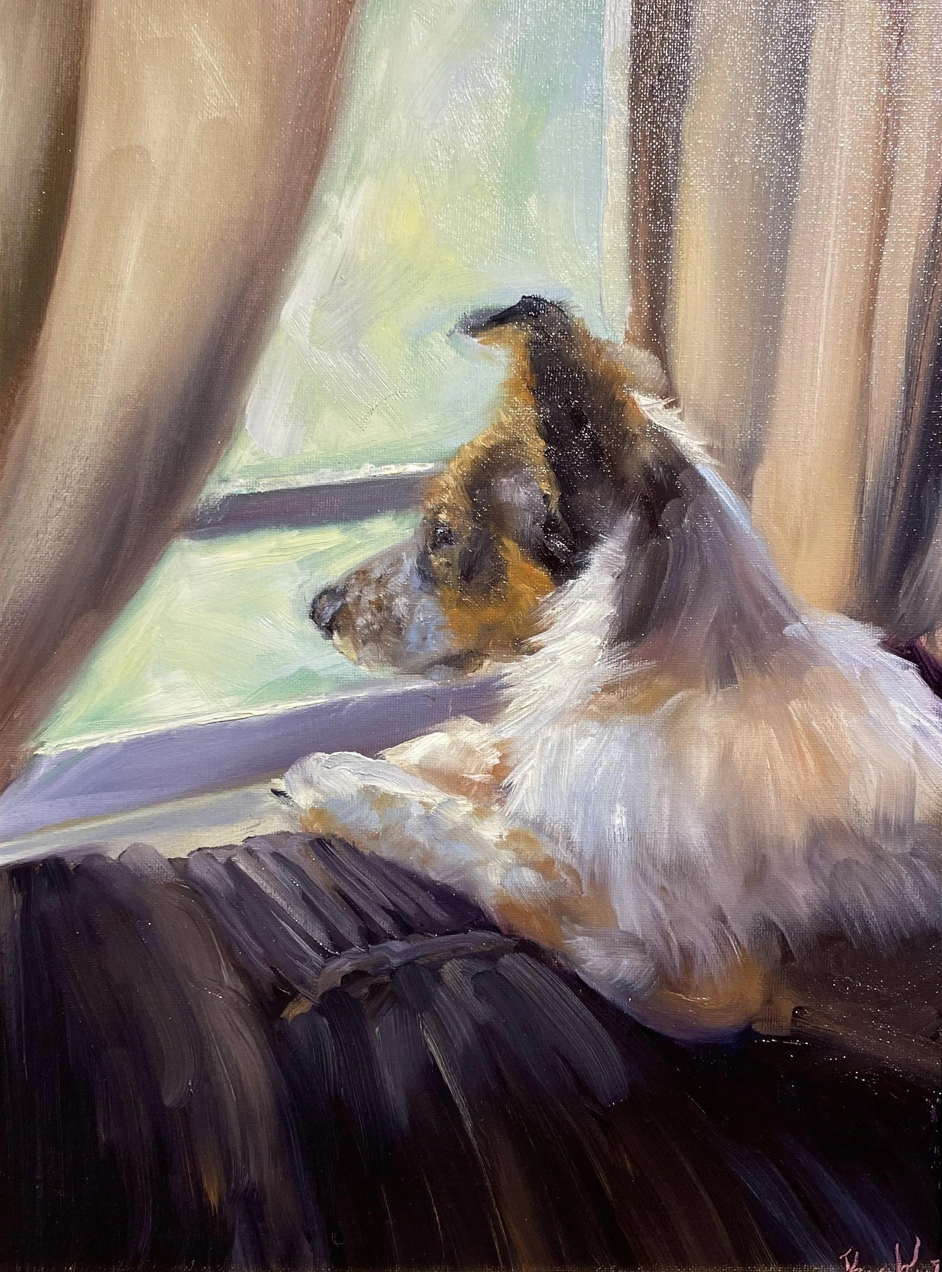 Canine Portraits
