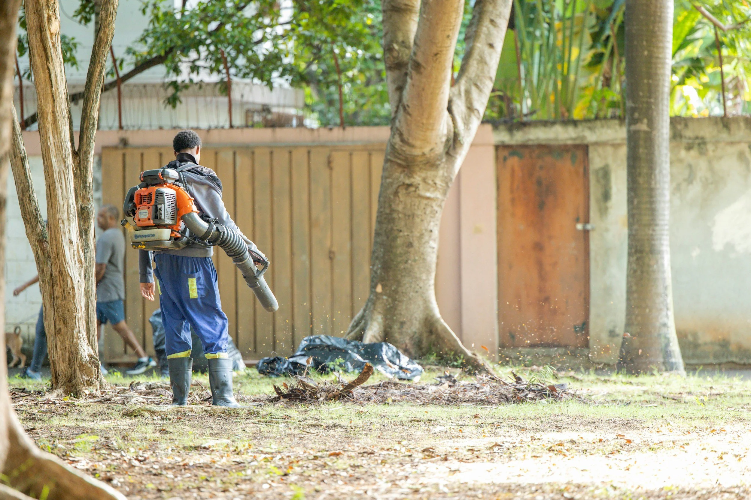 Property Cleanup & Detailing