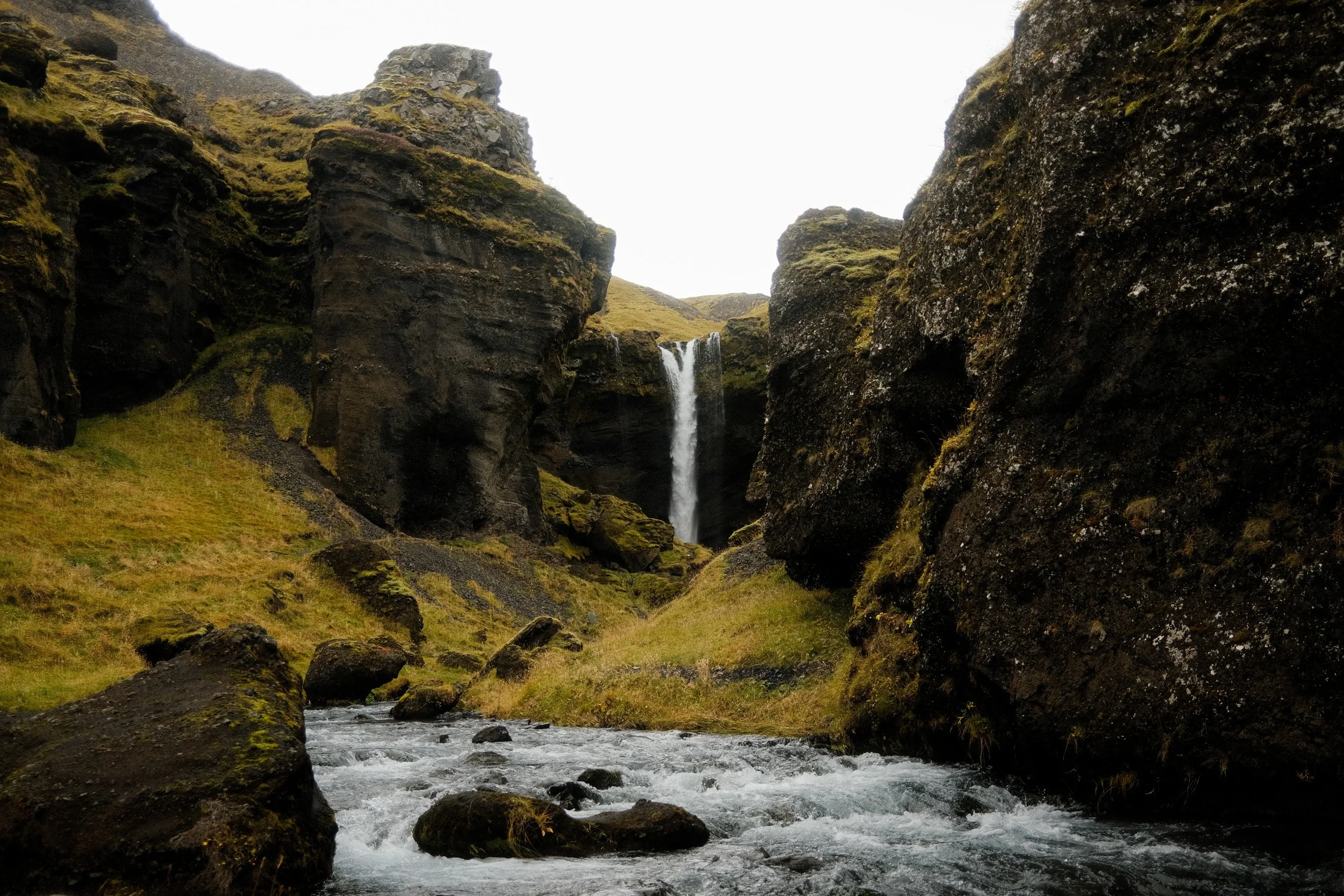 DSCF2095.jpg