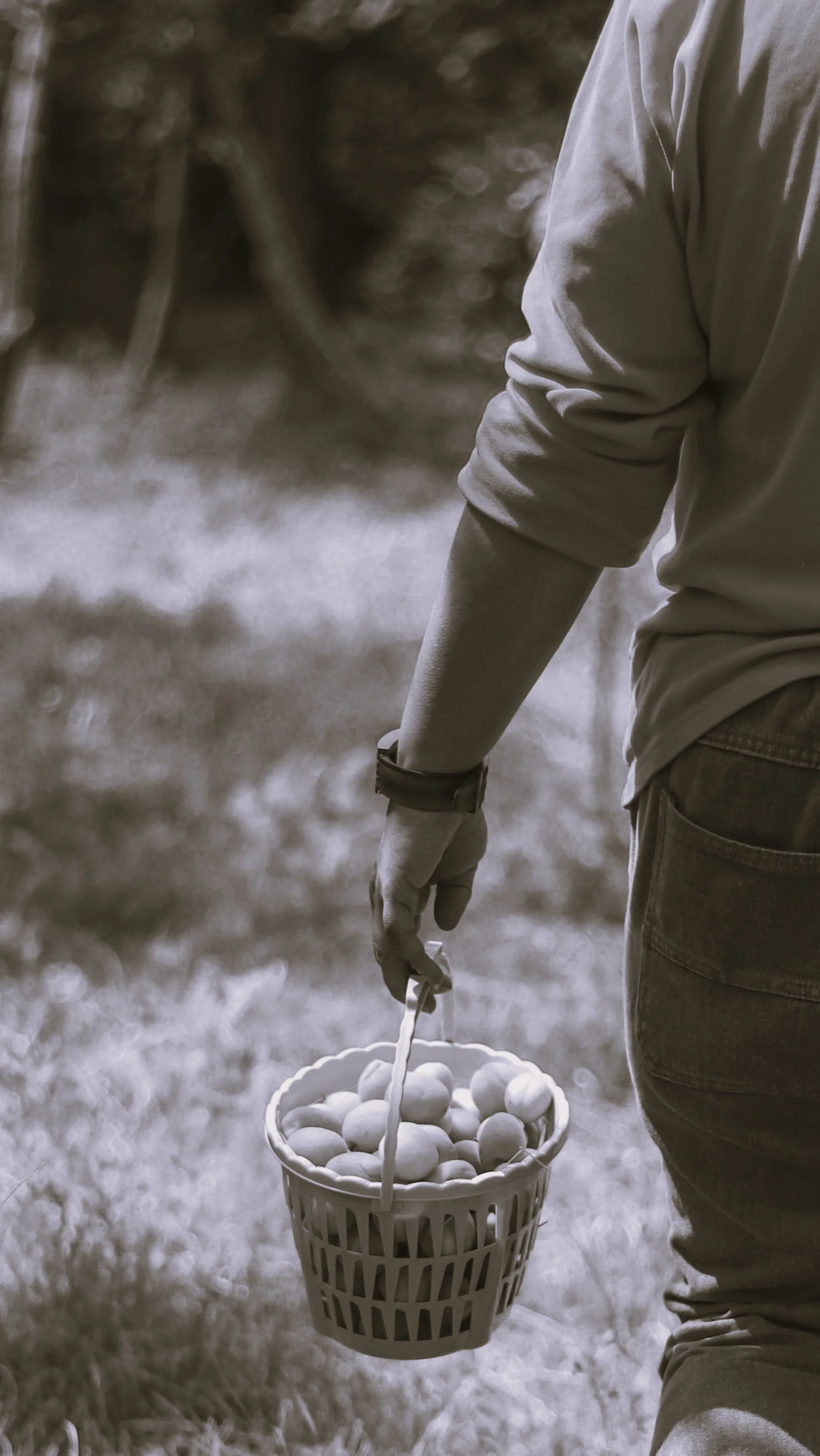 A person wearing a long sleeve shirt and jeans holding a basket of eggs while walking outdoors on grass.