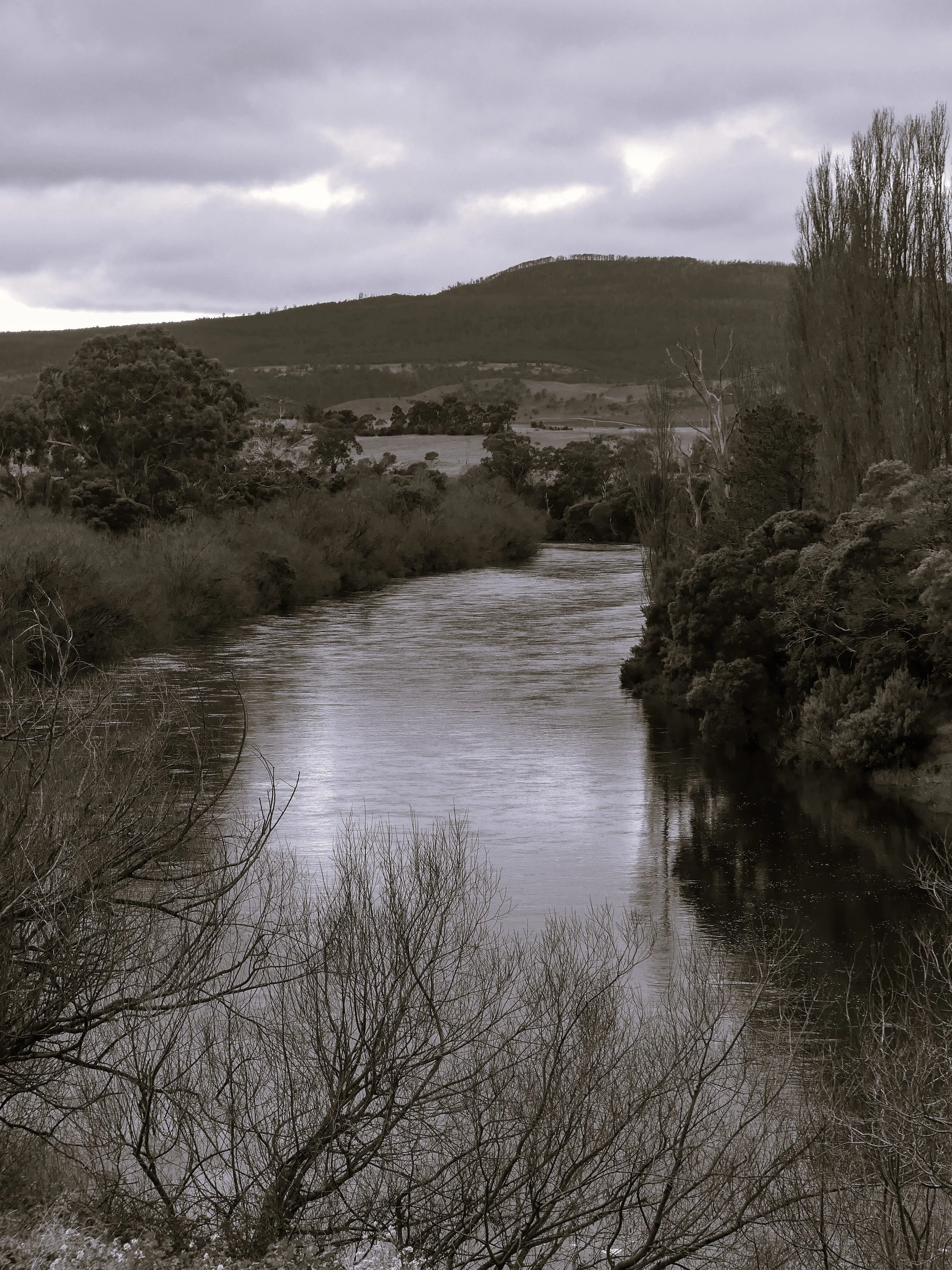 A river flowing through a landscape with trees on both sides and hills in the background under a cloudy sky.
