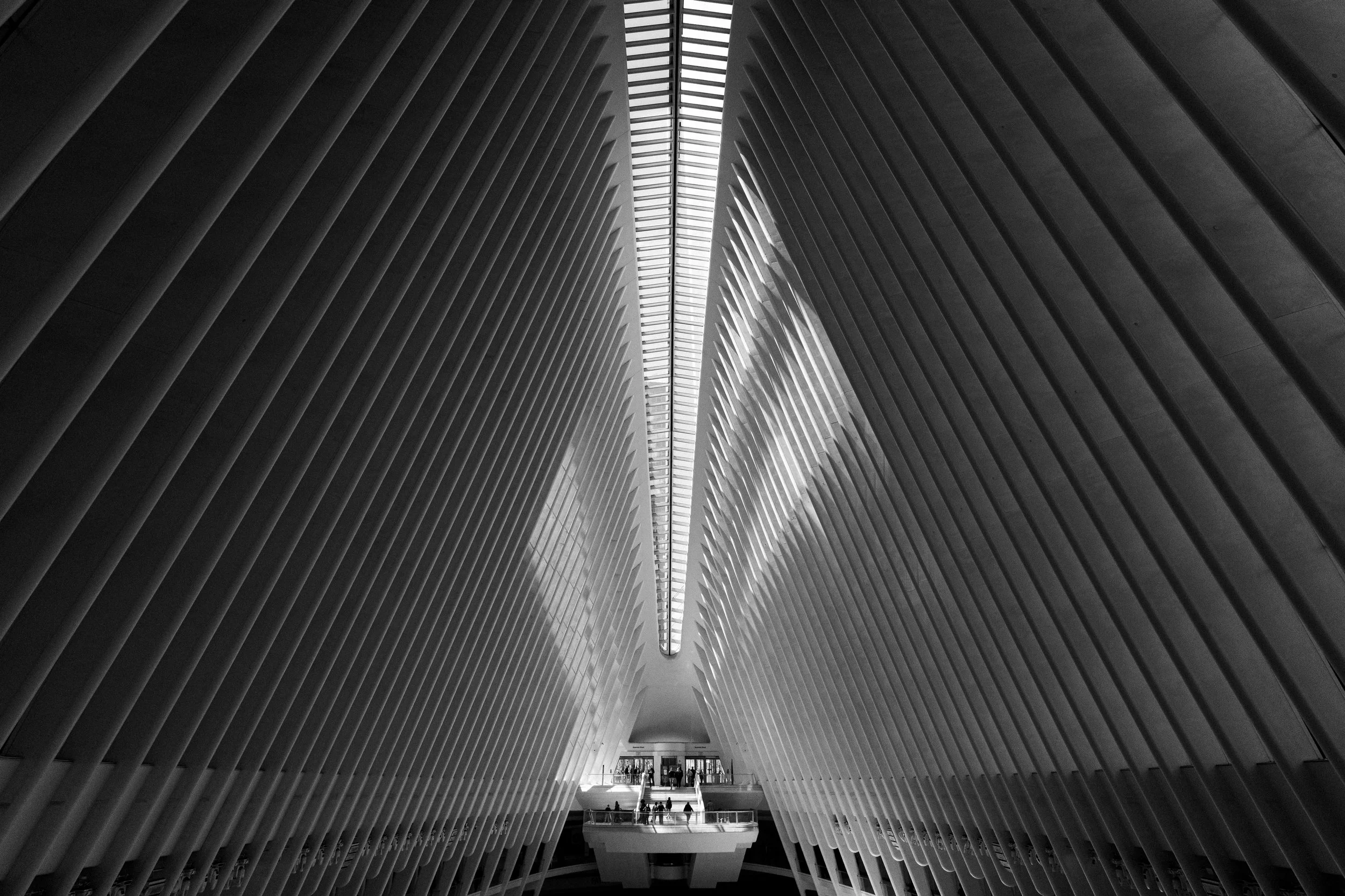 The Oculus / NYC