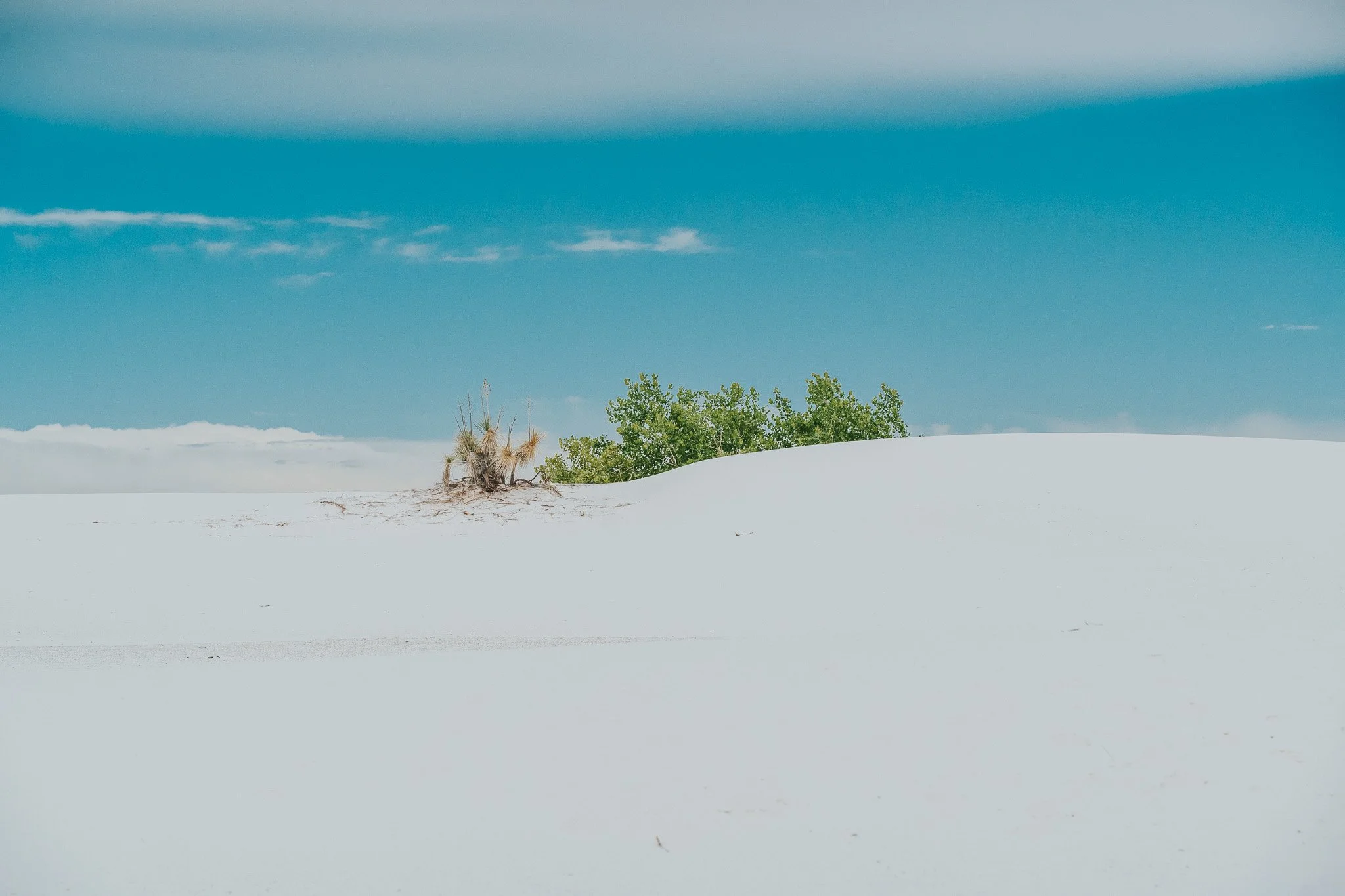 White Sands / New Mexico