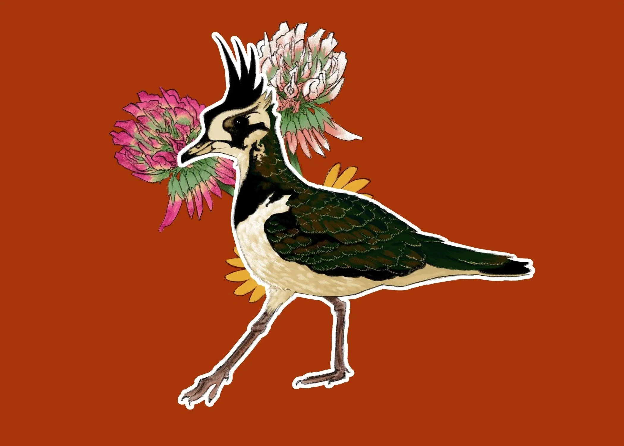 Lapwing+5+x+7.jpg