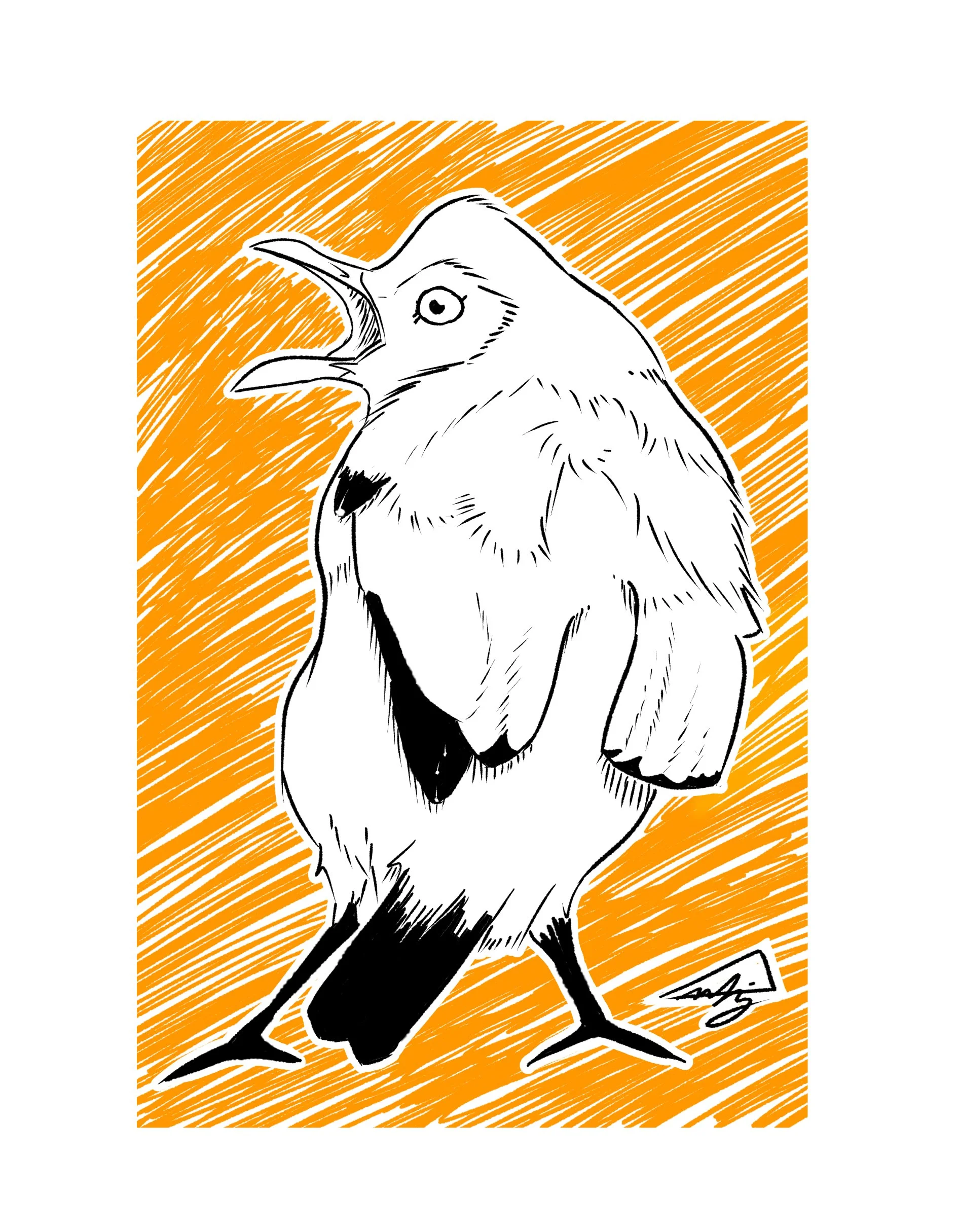 Flame Bower bird.jpg