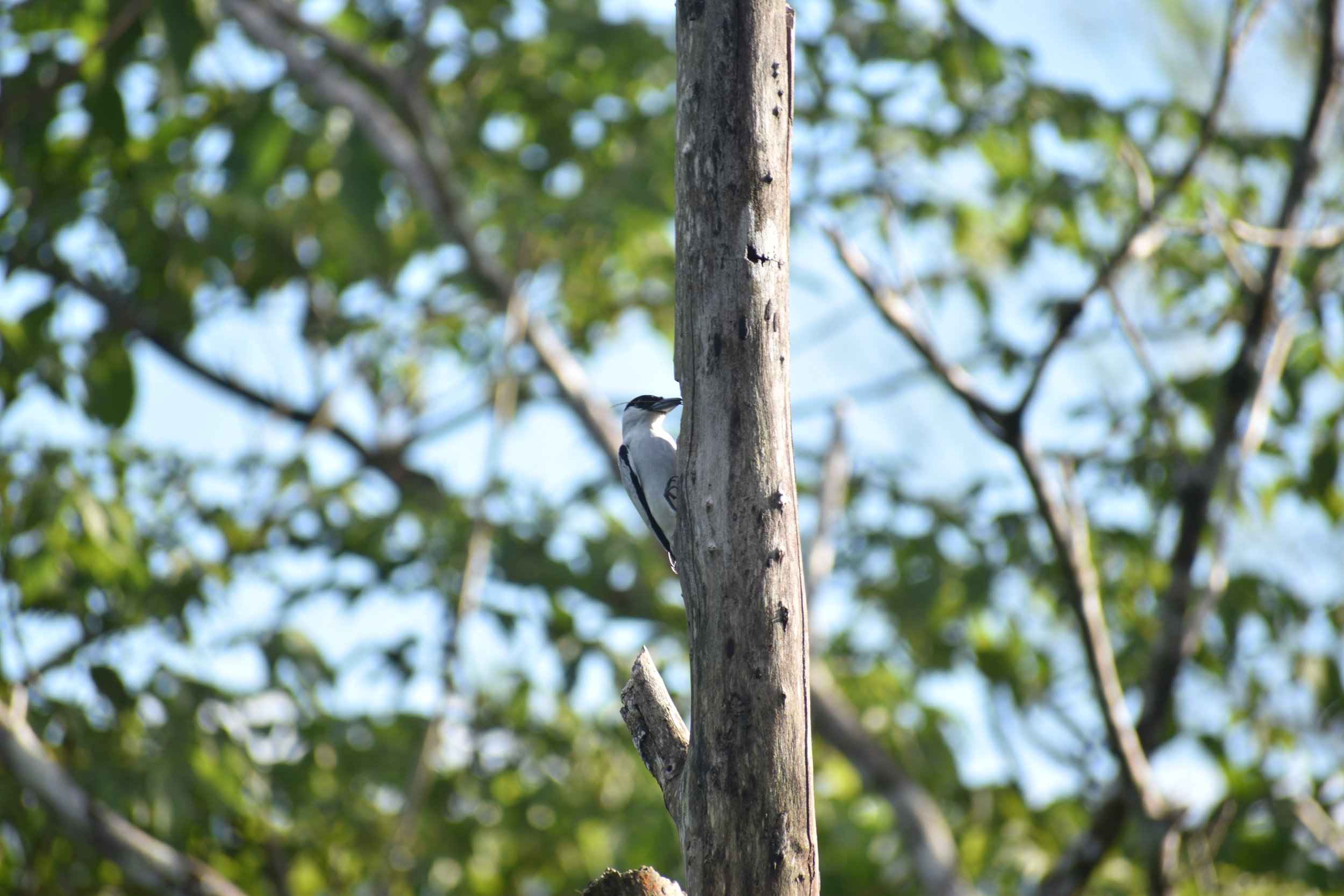 DSC_0776.JPG