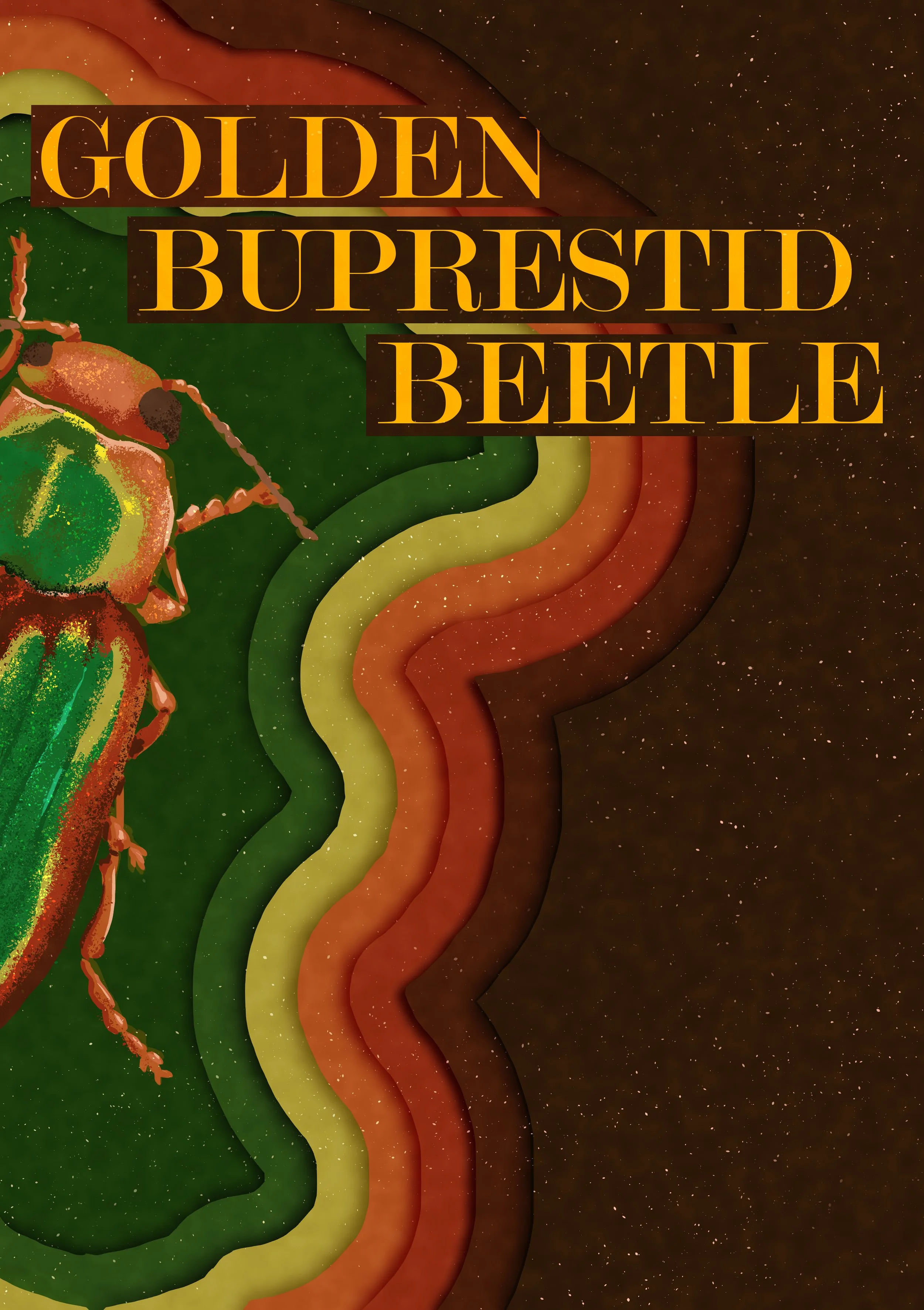 buprestid 1.jpg