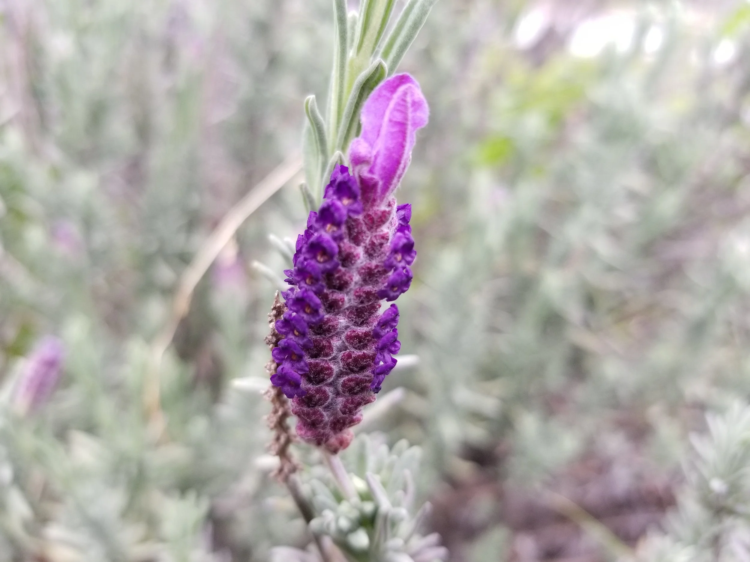 20190322_134019.jpg