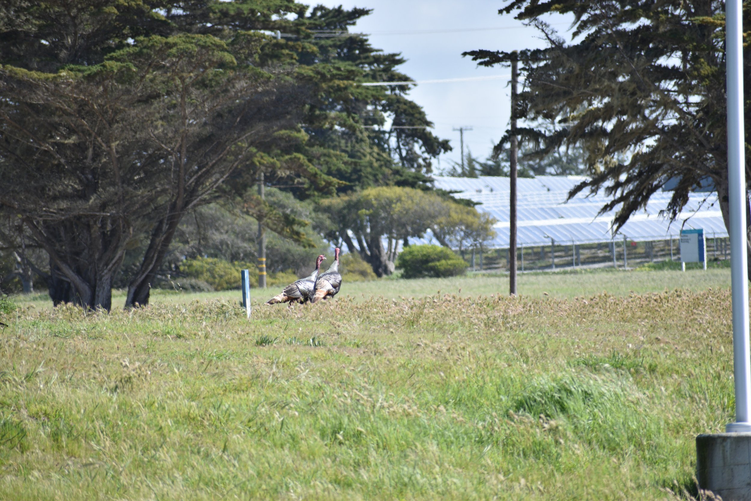 DSC_0391.JPG