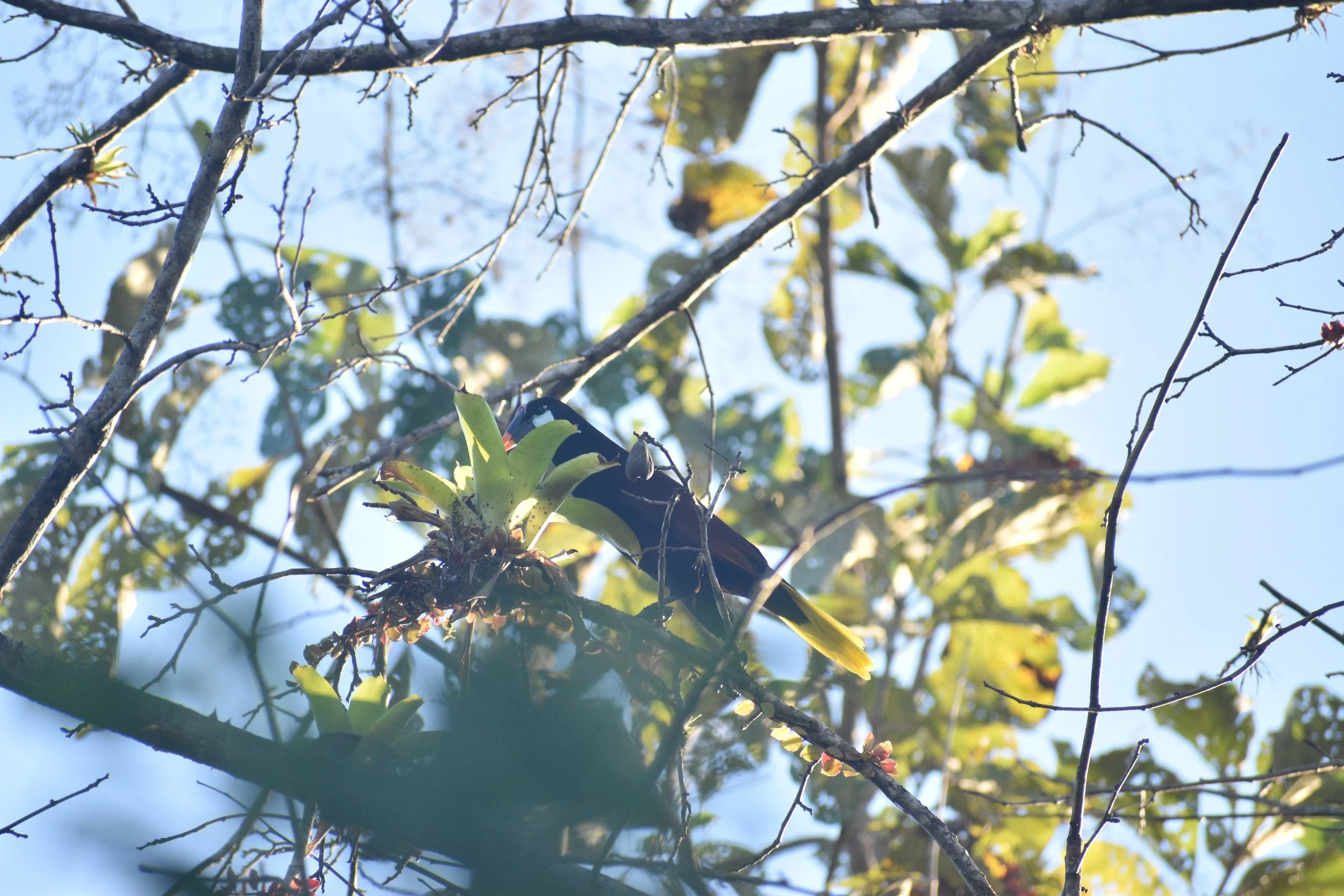 DSC_0415.JPG
