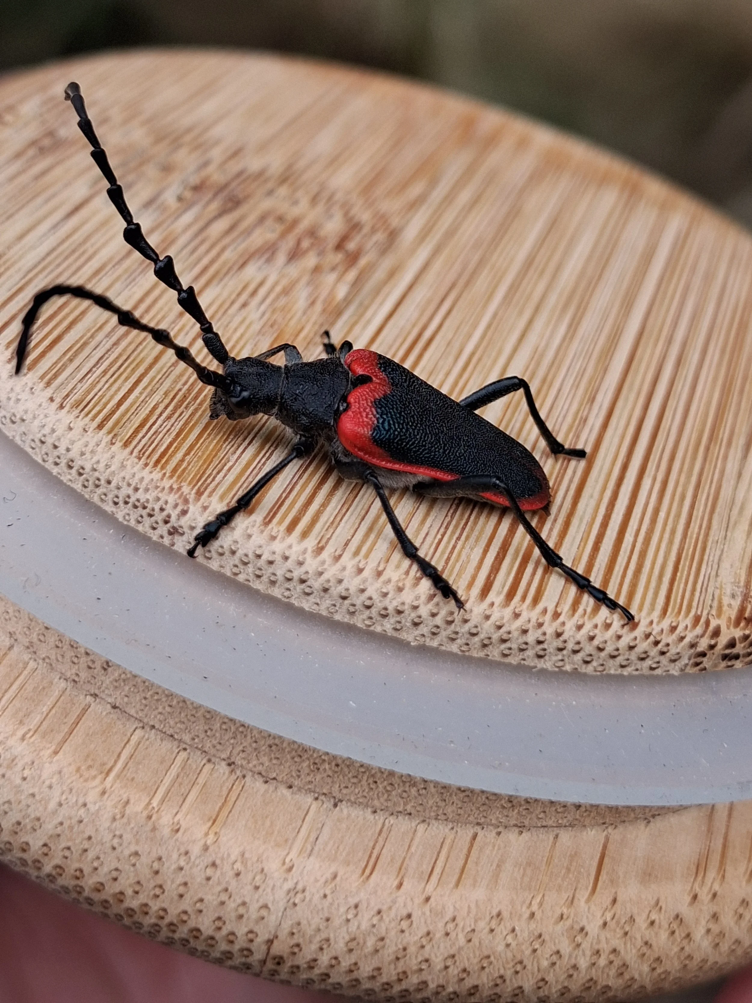 20260426_114031.jpg