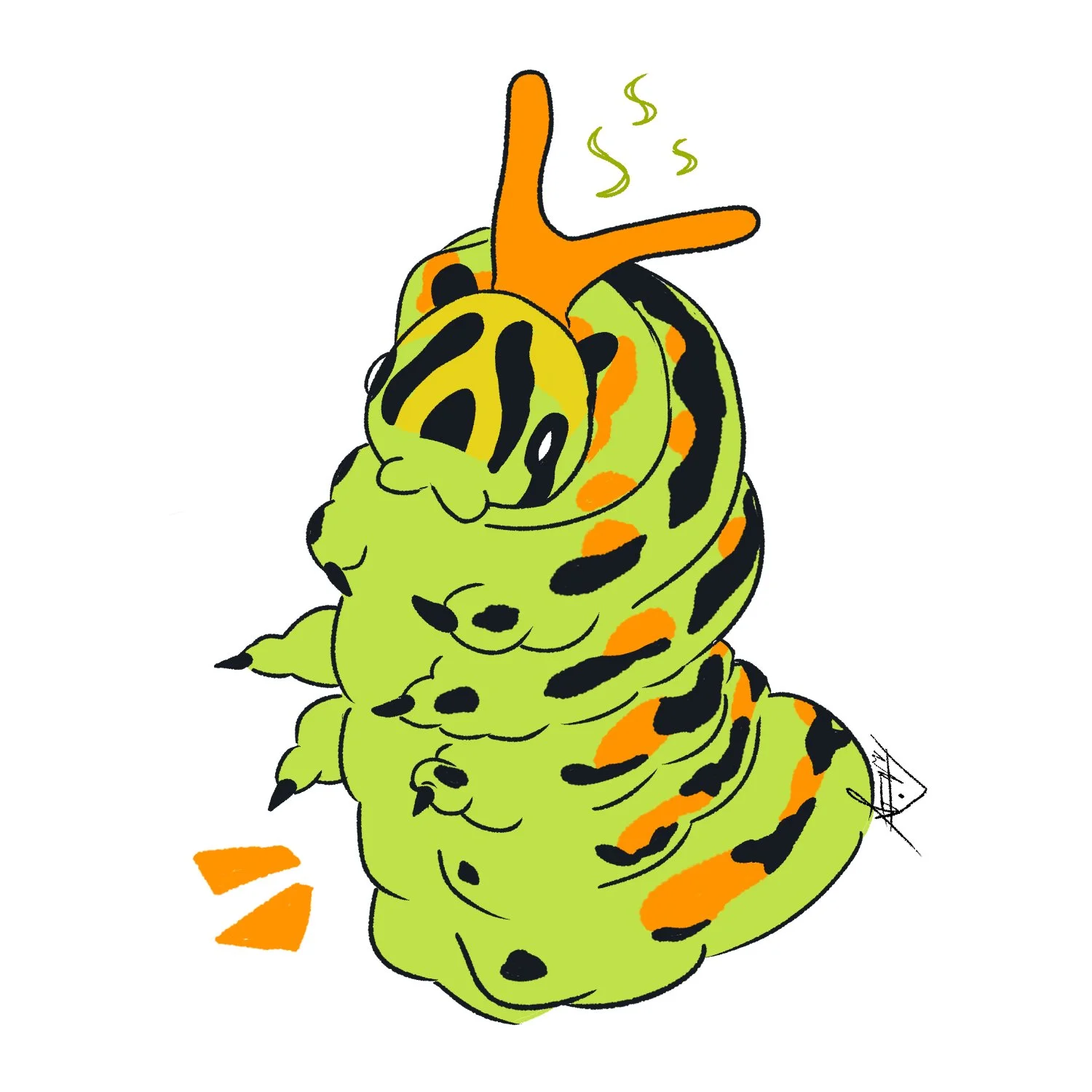 Anise Swallowtail.jpg