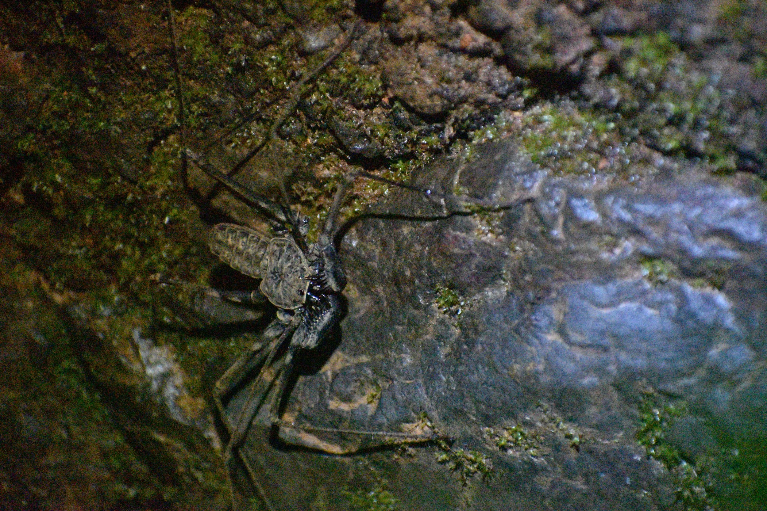 DSC_0342.JPG