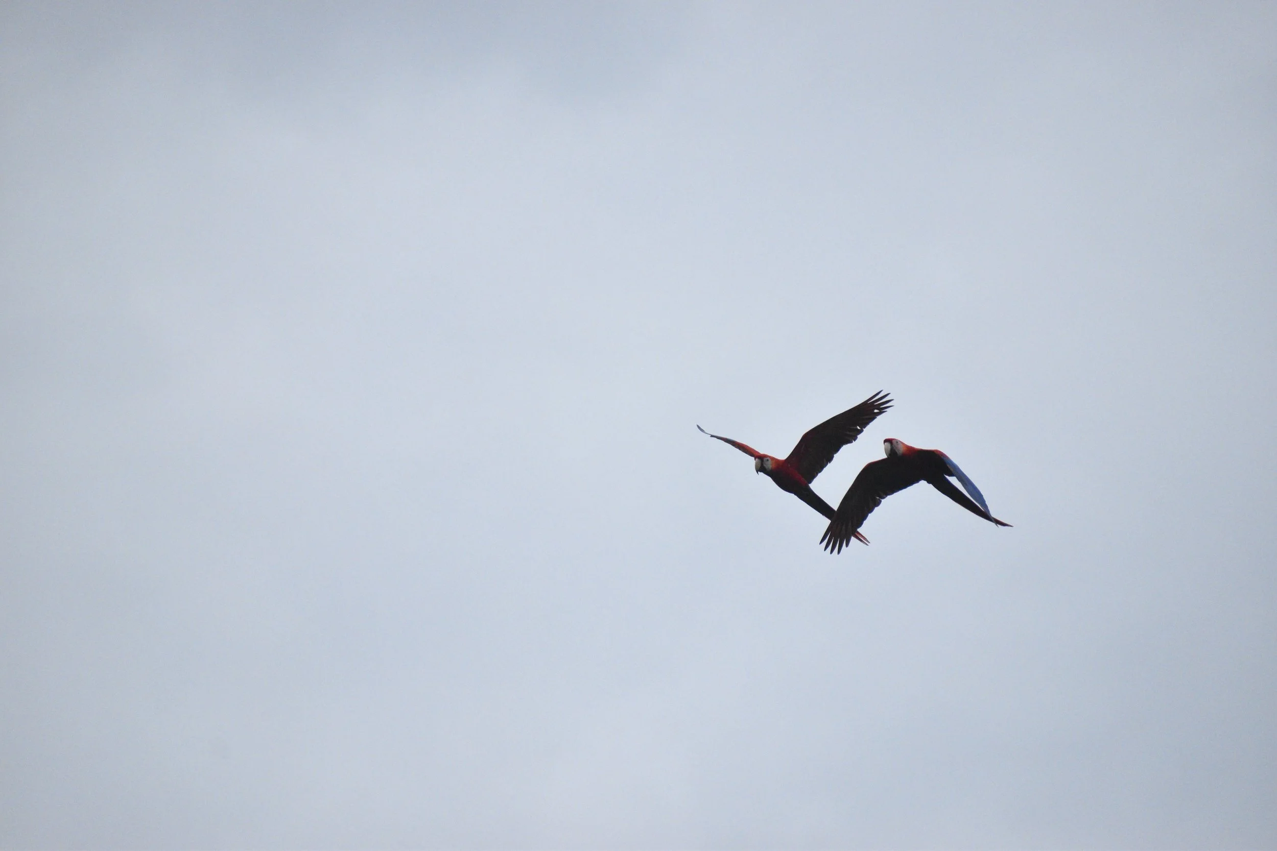 DSC_0276.JPG