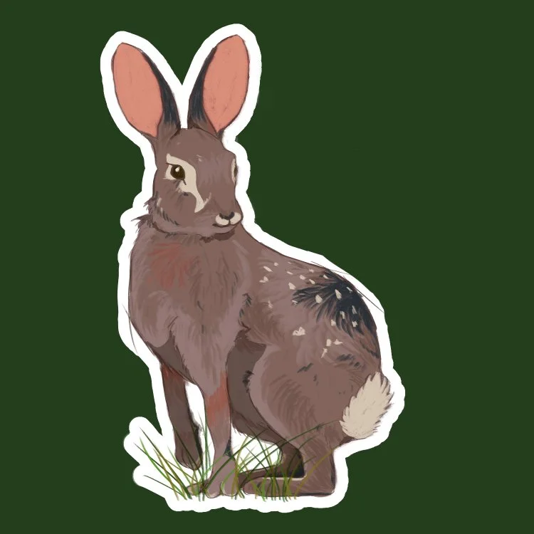 Desert Cottontail | Waterproof Vinyl Sticker (mini)