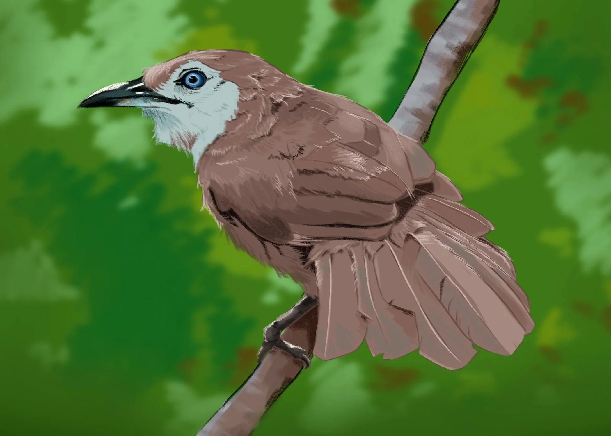 spinal+babbler5x7.jpg
