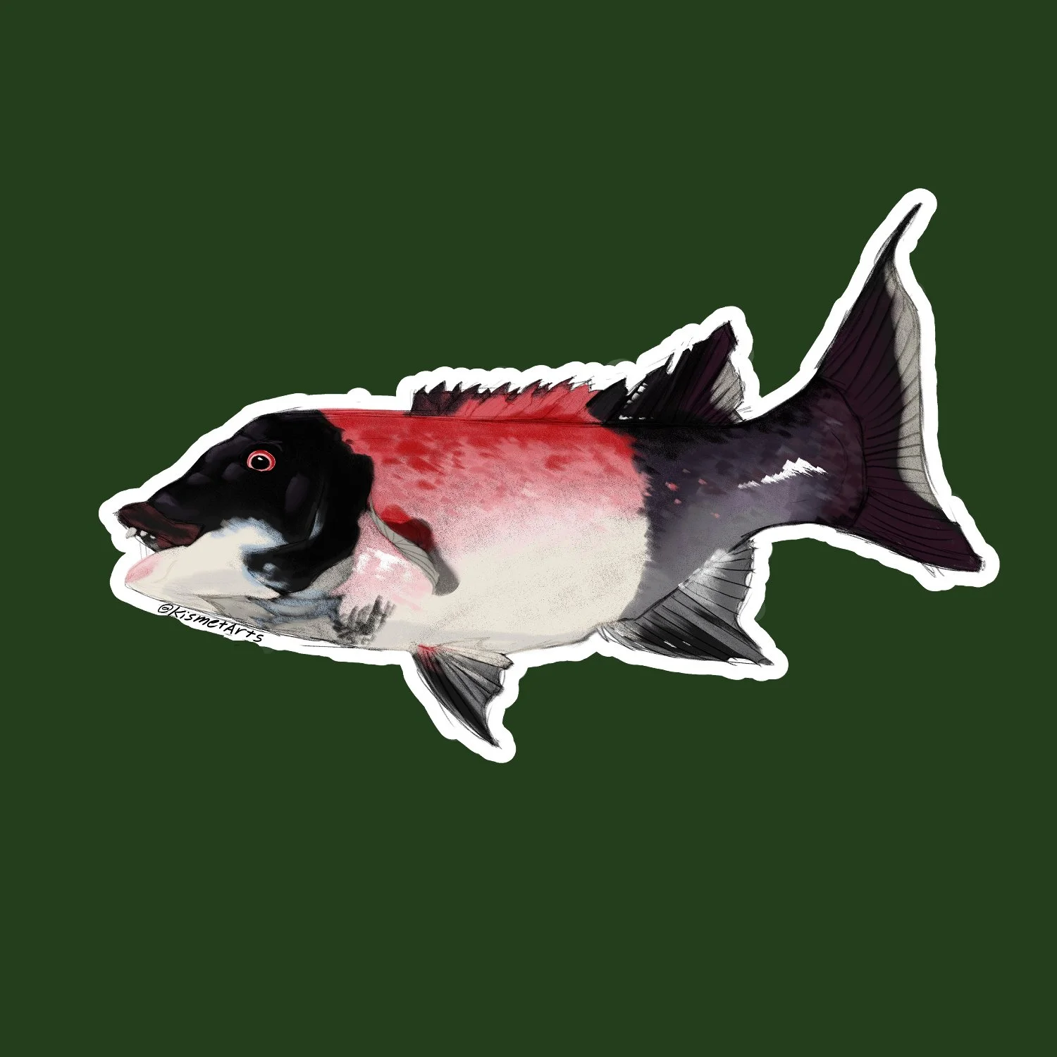 California Sheephead | Waterproof Vinyl Sticker (mini)