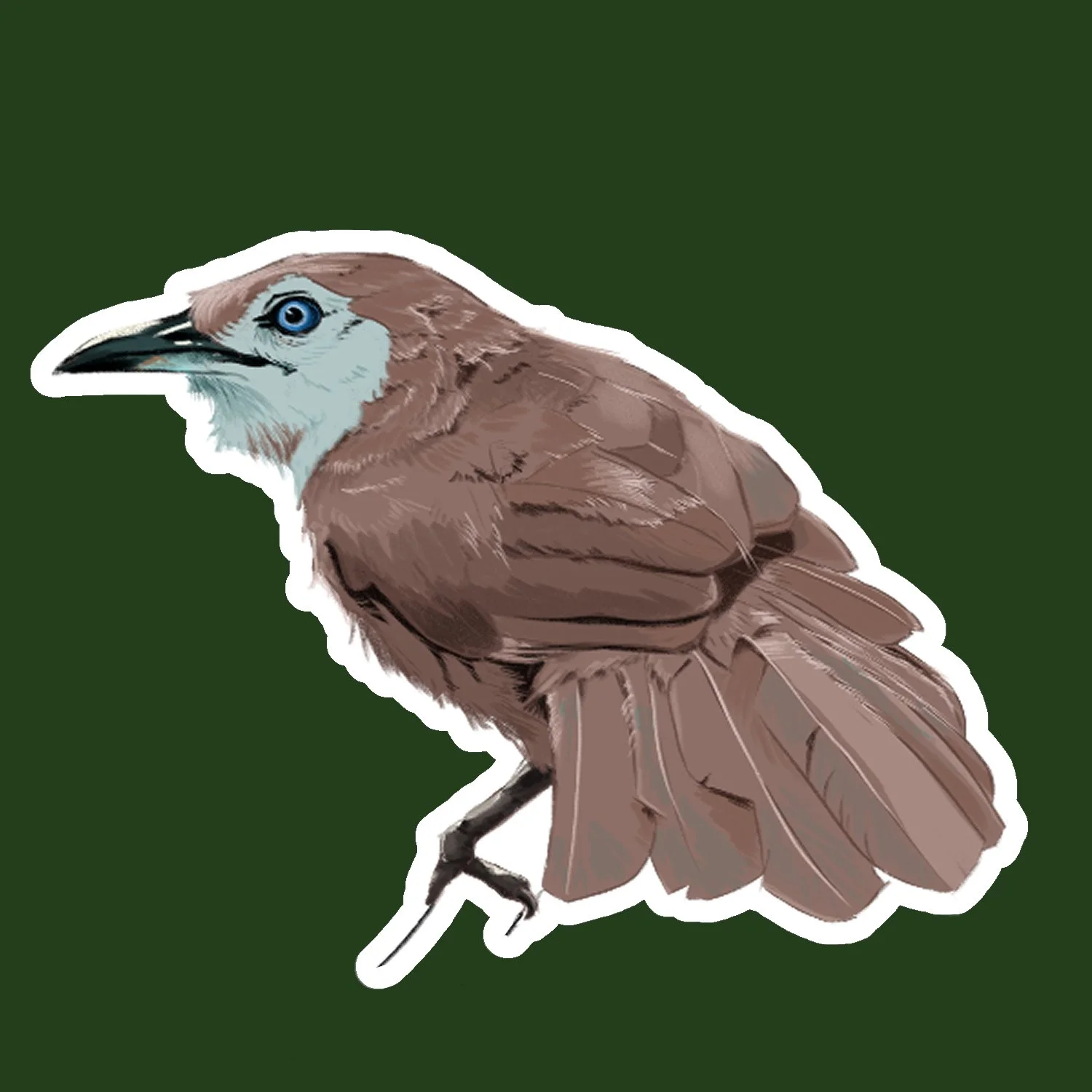 Spiny babbler | Waterproof Vinyl Sticker (mini)