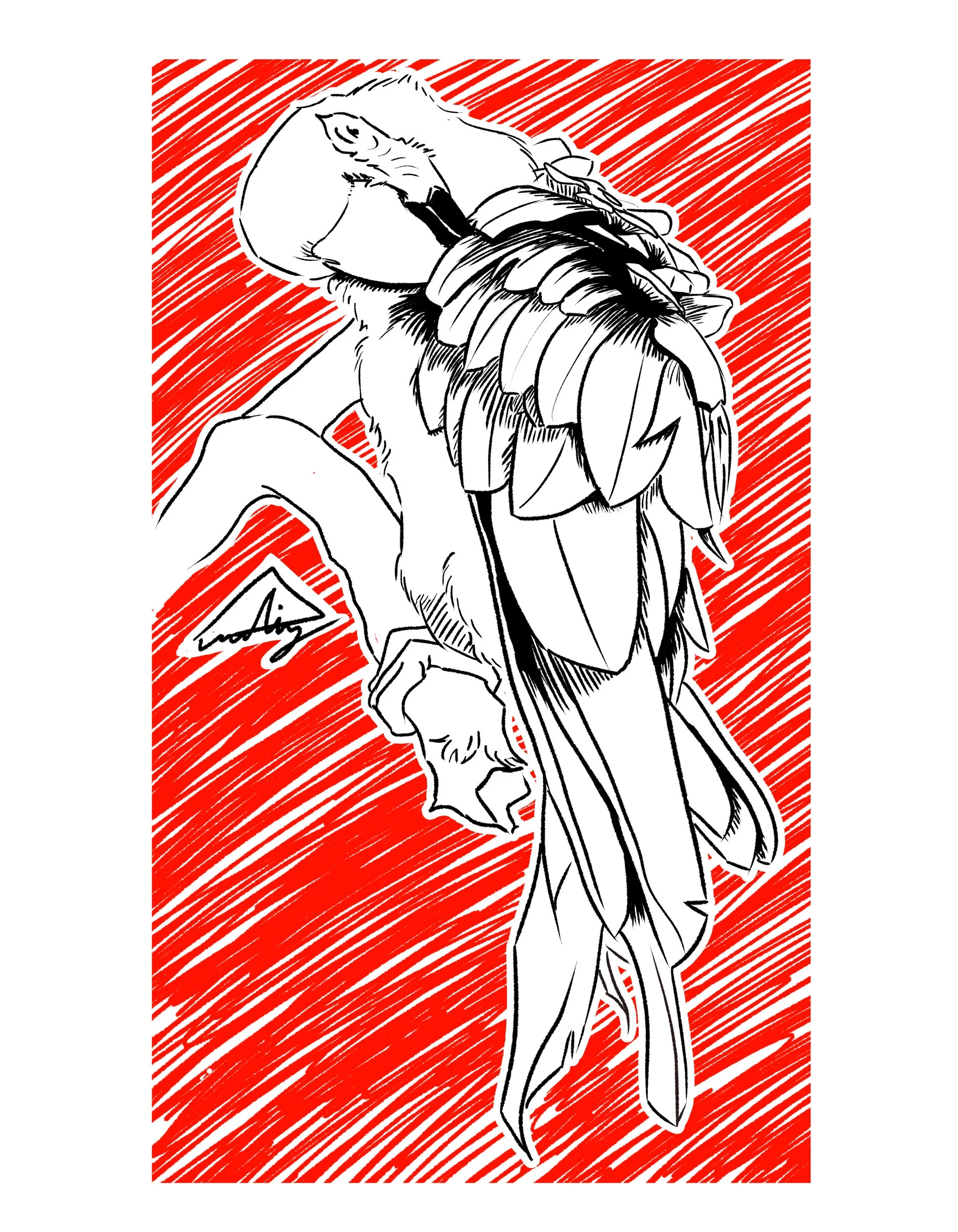 Scarlet Macaw.jpg