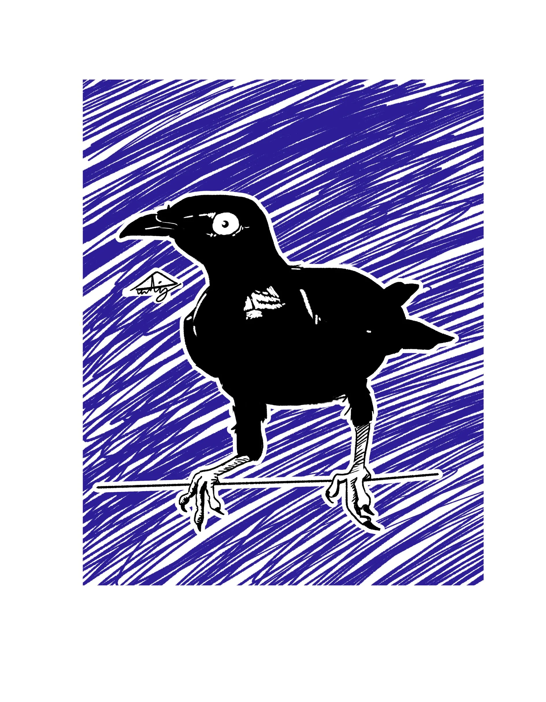 Purple Starling.jpg