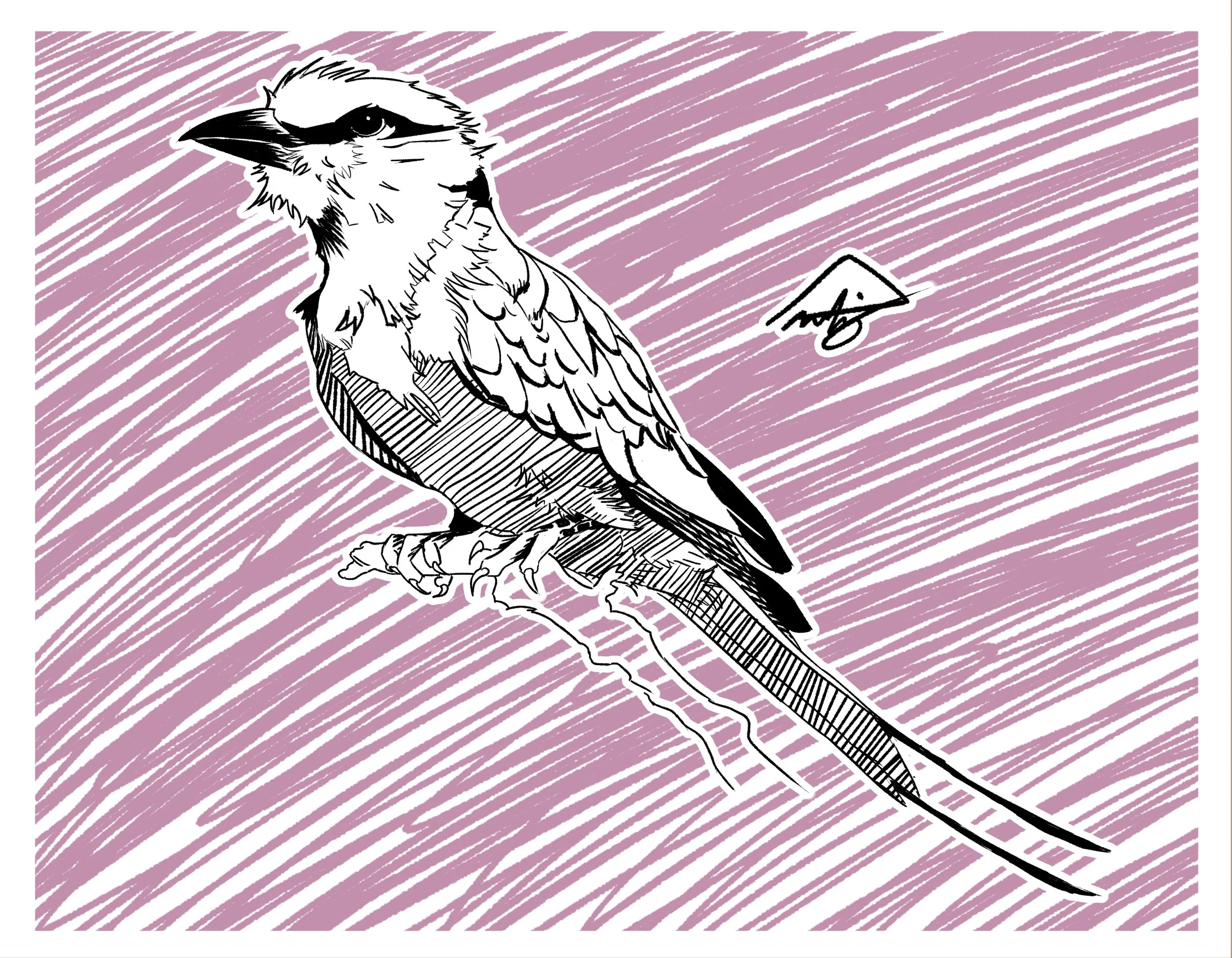Lilac breasted.jpg