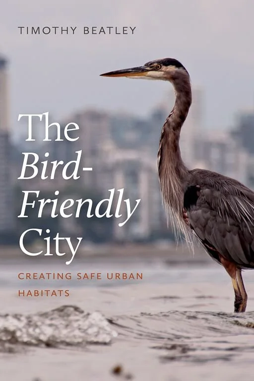 An unlikely birding boom takes wing